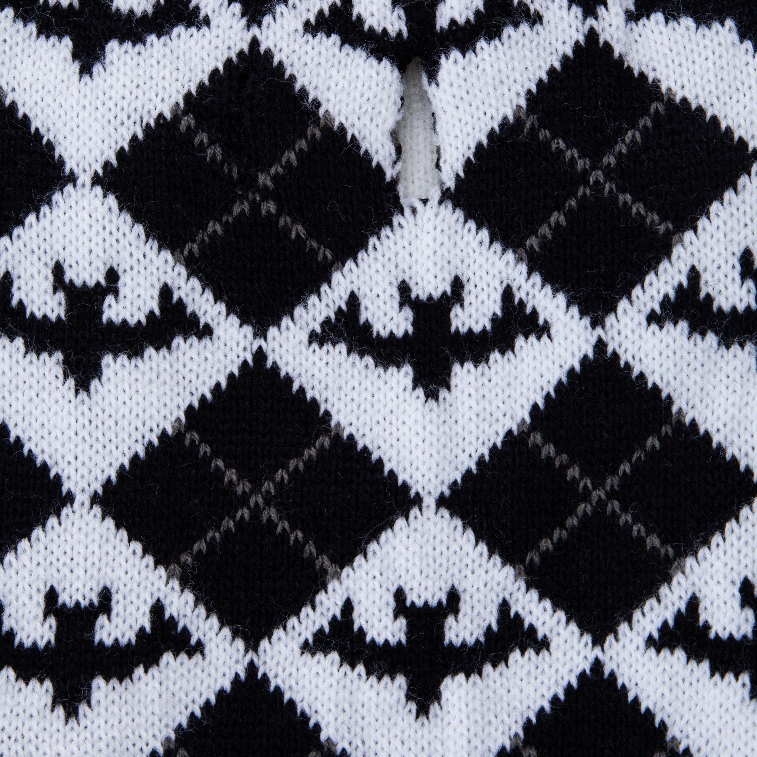 Large Dog Halloween Pet Sweater