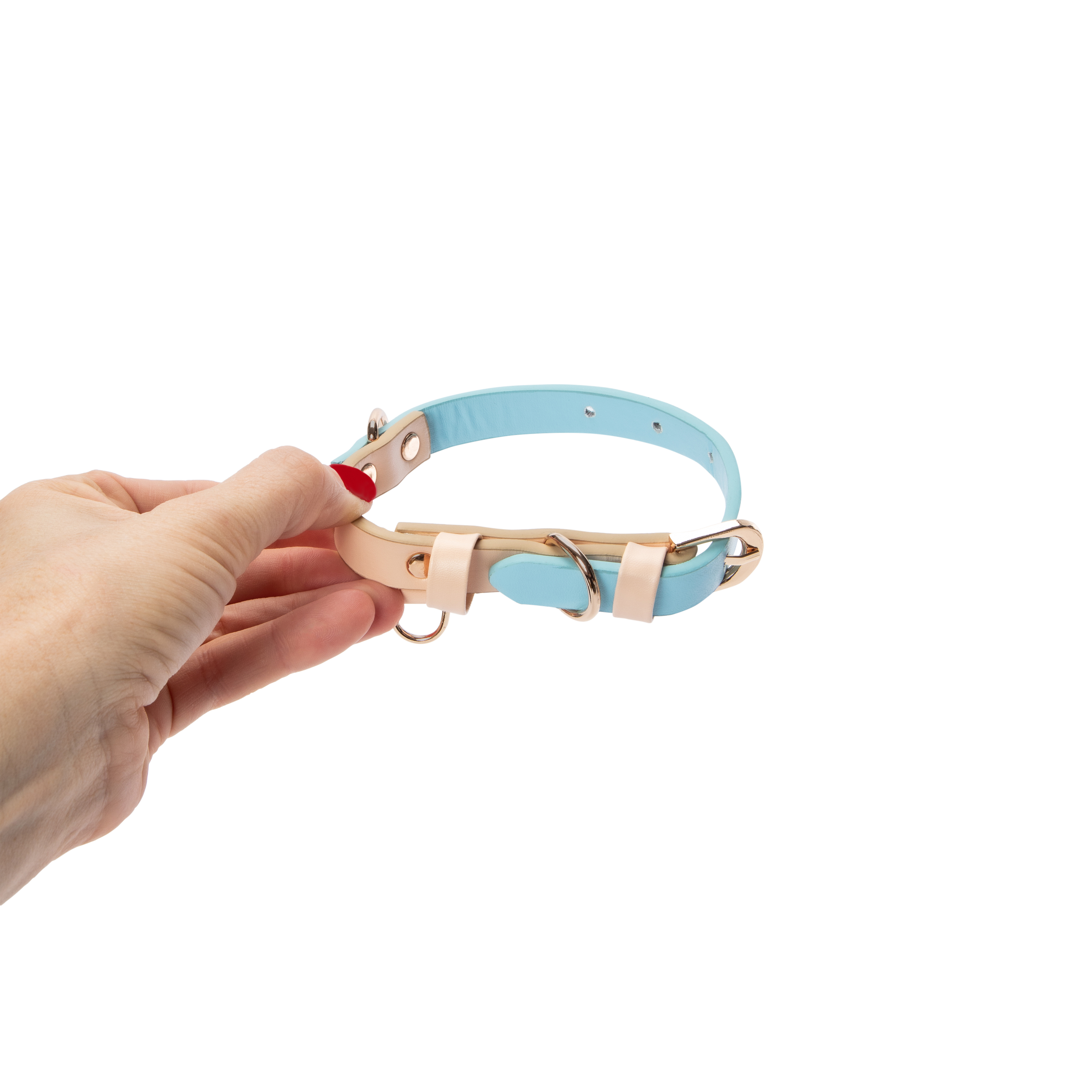 Two-Tone Pet Collar