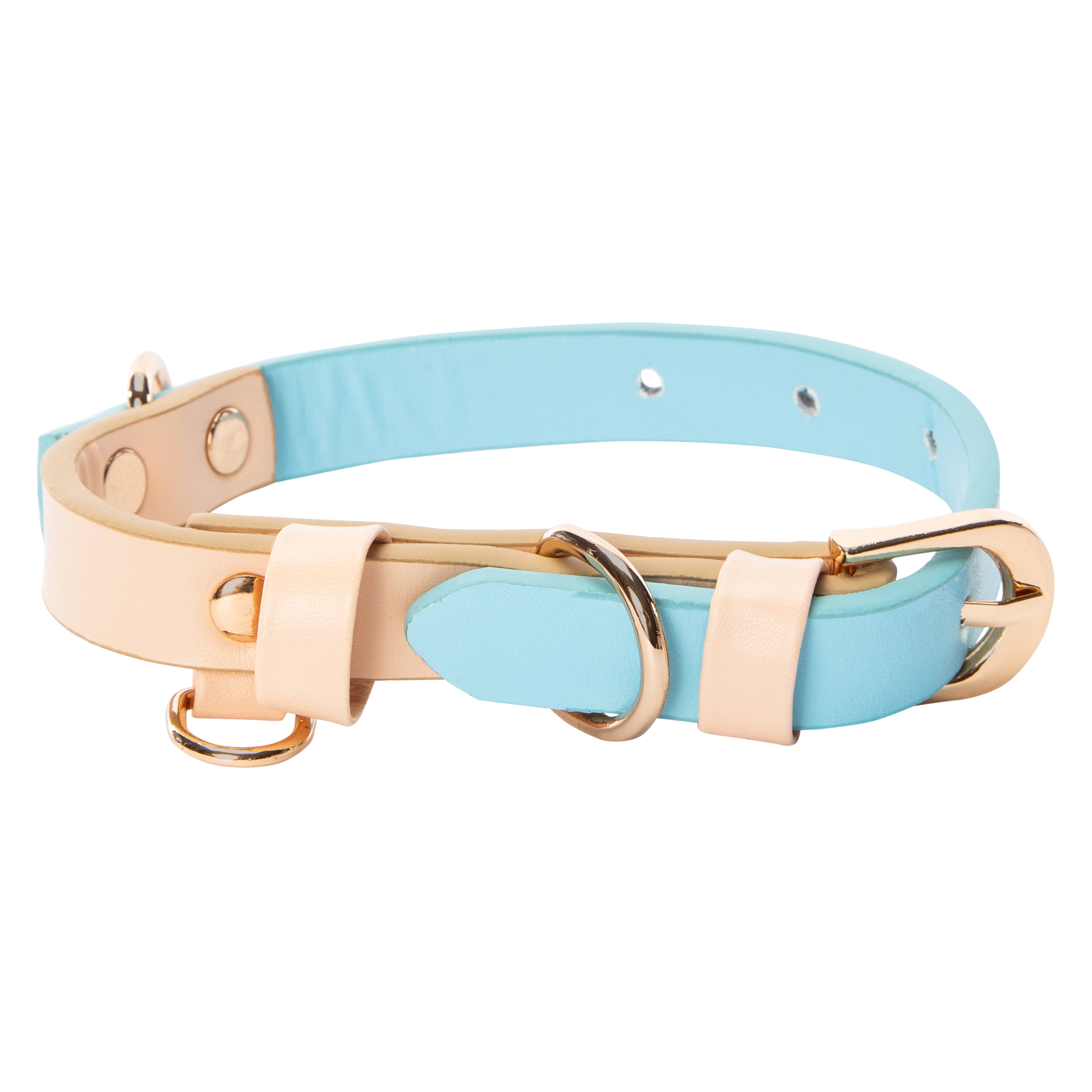 Pawsitively Fun! 2-Tone Pet Collar I Five Below