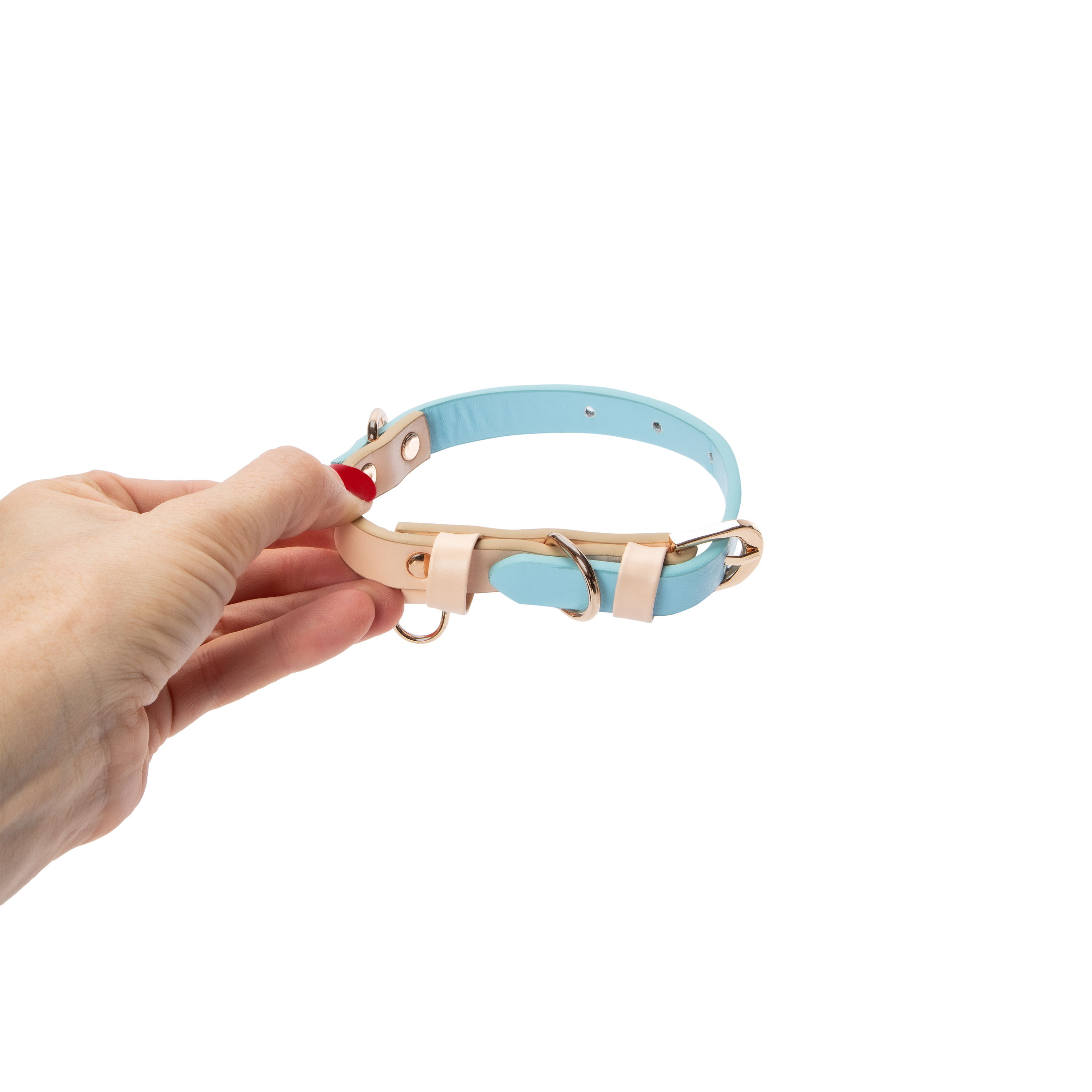 Pawsitively Fun! 2-Tone Pet Collar I Five Below