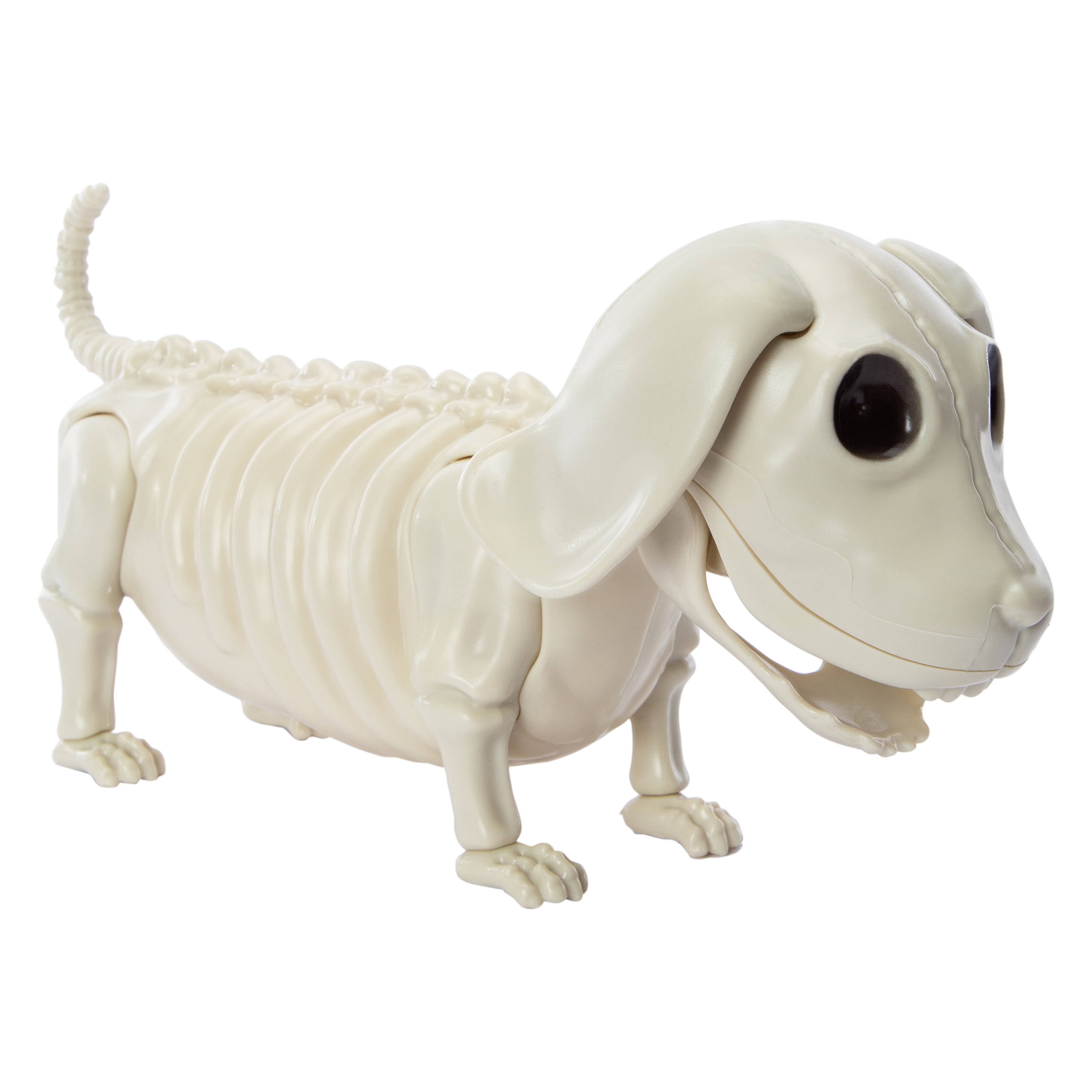 Skeleton Dog Halloween Decor 12in x 5.44in