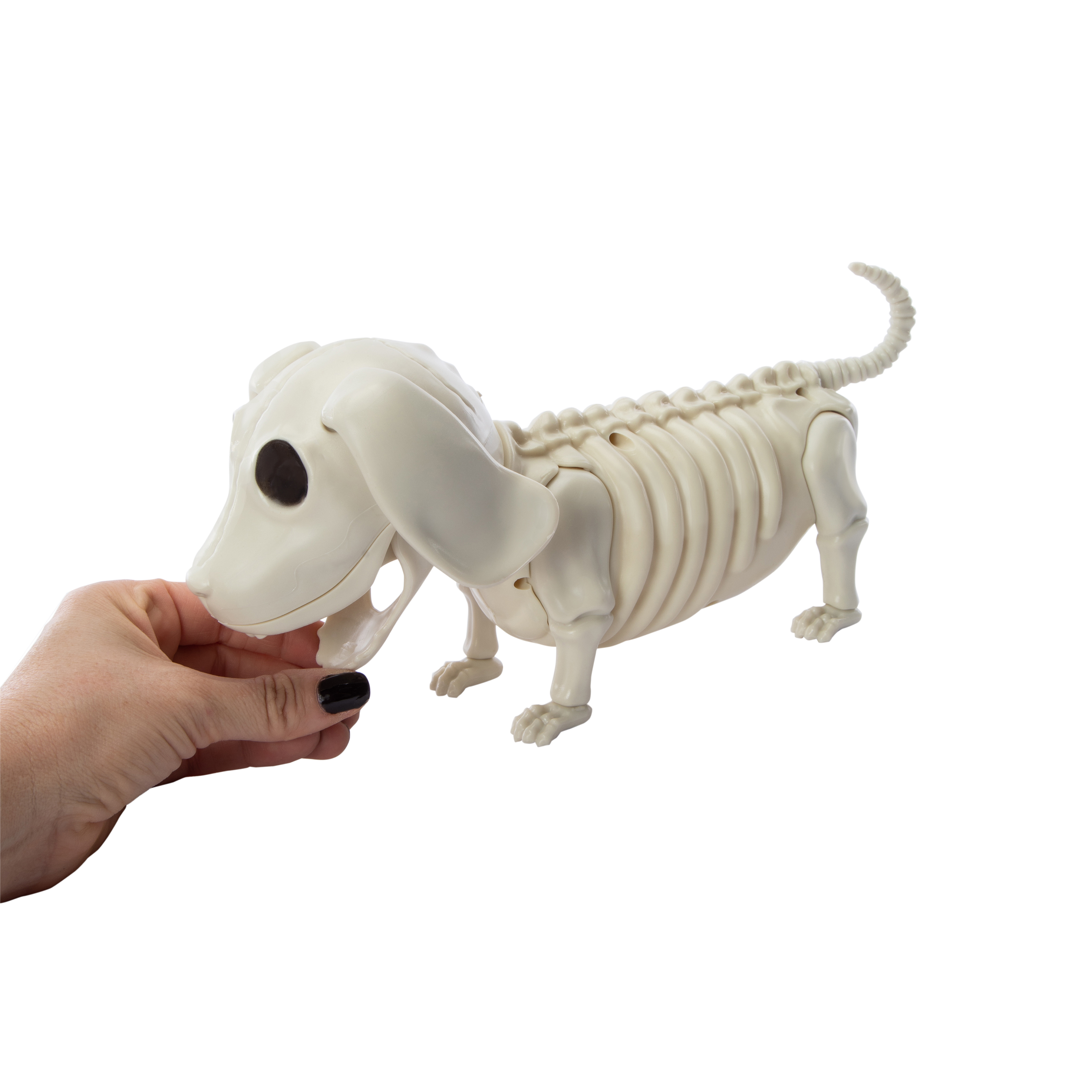 Skeleton Dog Halloween Decor 12in x 5.44in