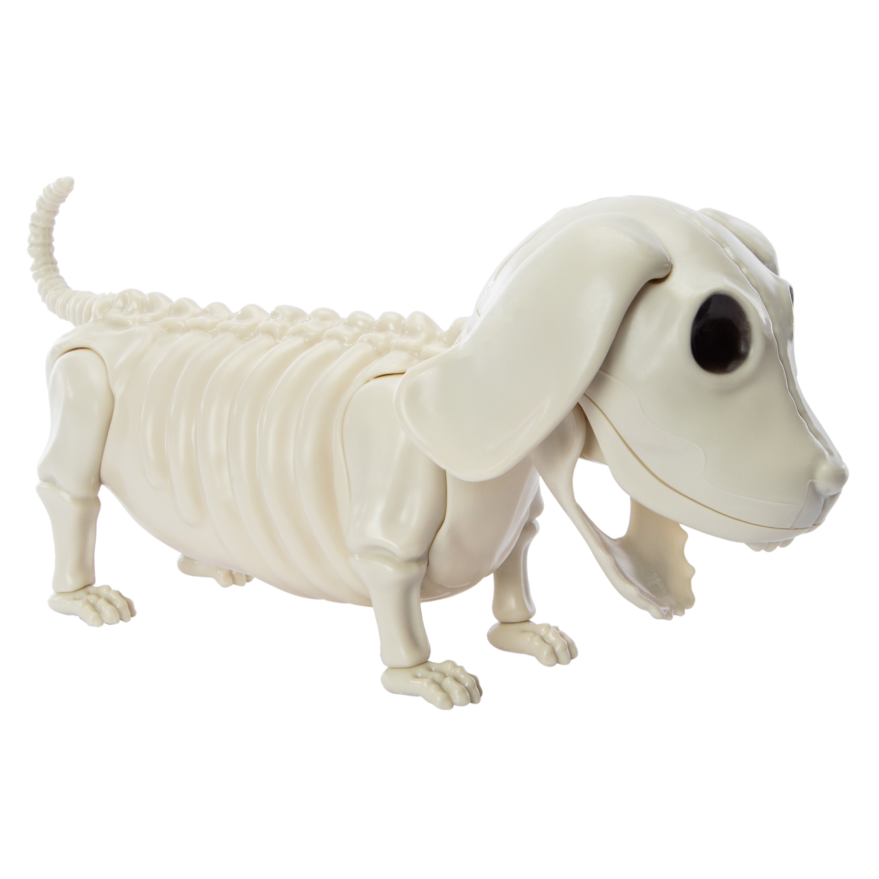 Skeleton Dog Halloween Decor 12in x 5.44in