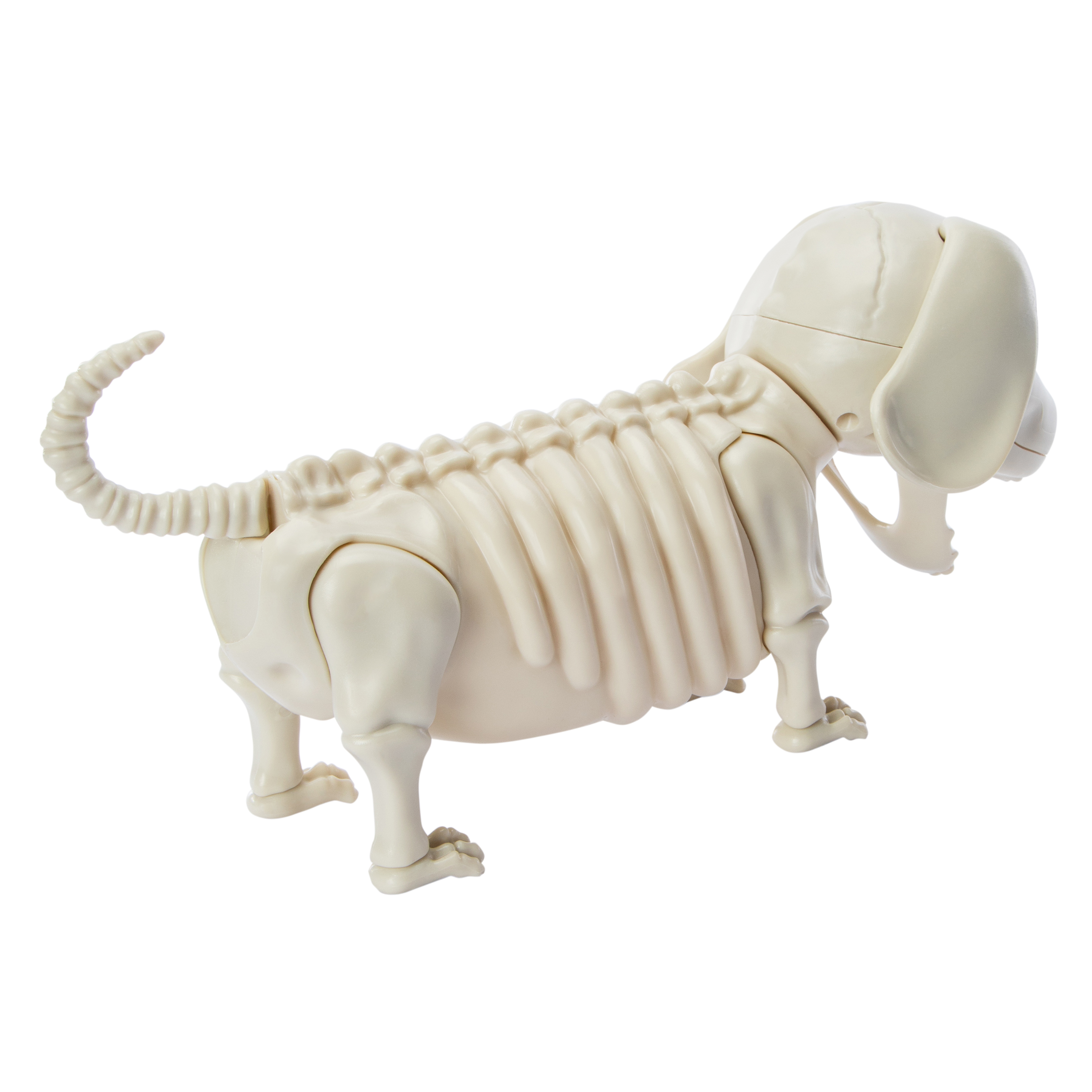 Skeleton Dog Halloween Decor 12in x 5.44in