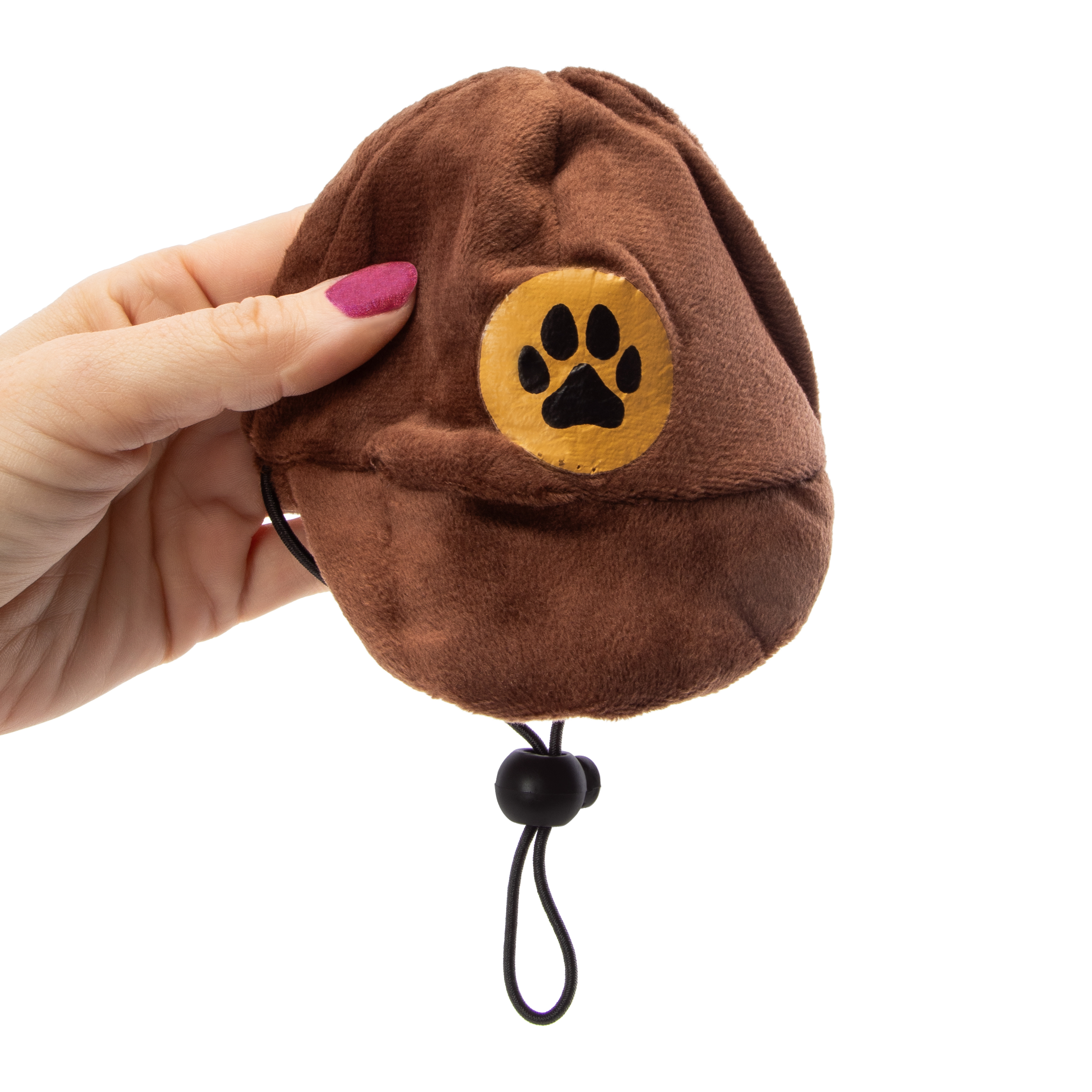 Delivery Driver Pet Costume