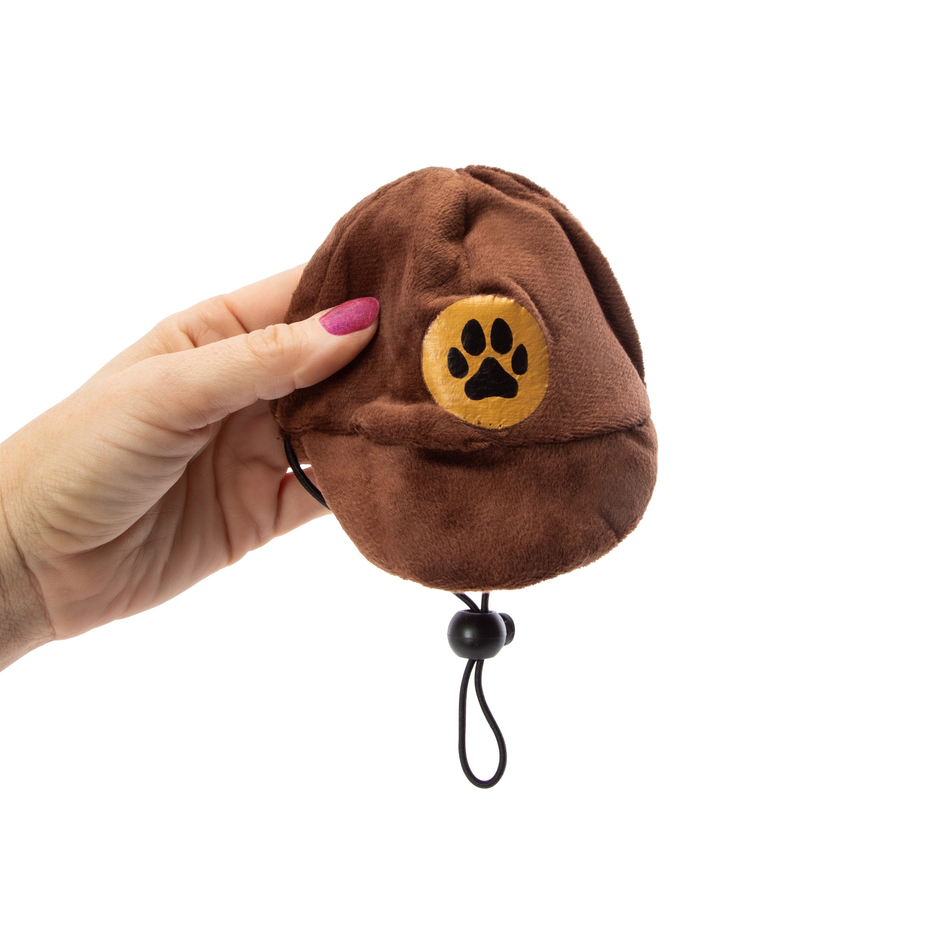 Delivery Driver Pet Costume