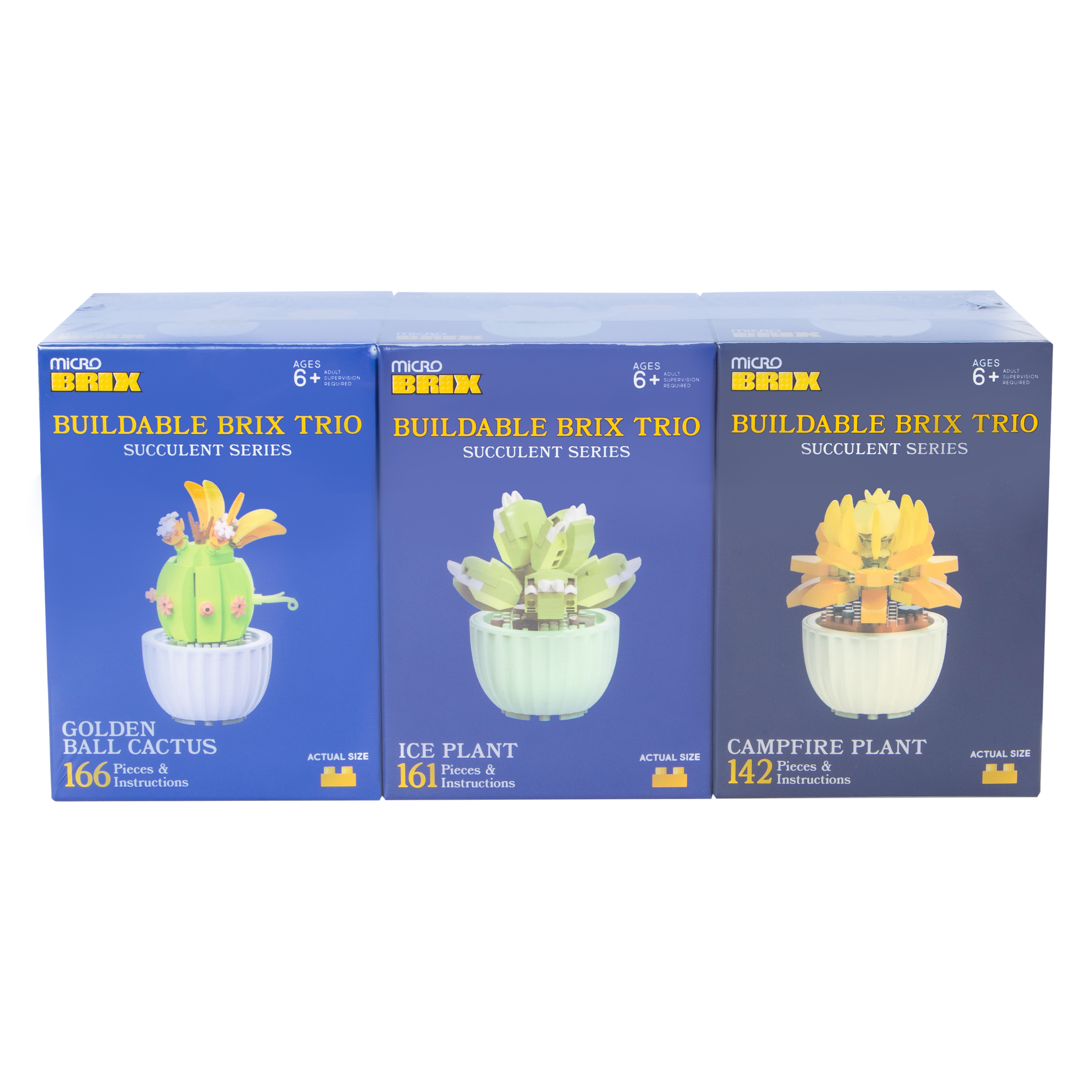 Five Below Succulent Buildable Brix Trio 3-Pack | Hamilton Place