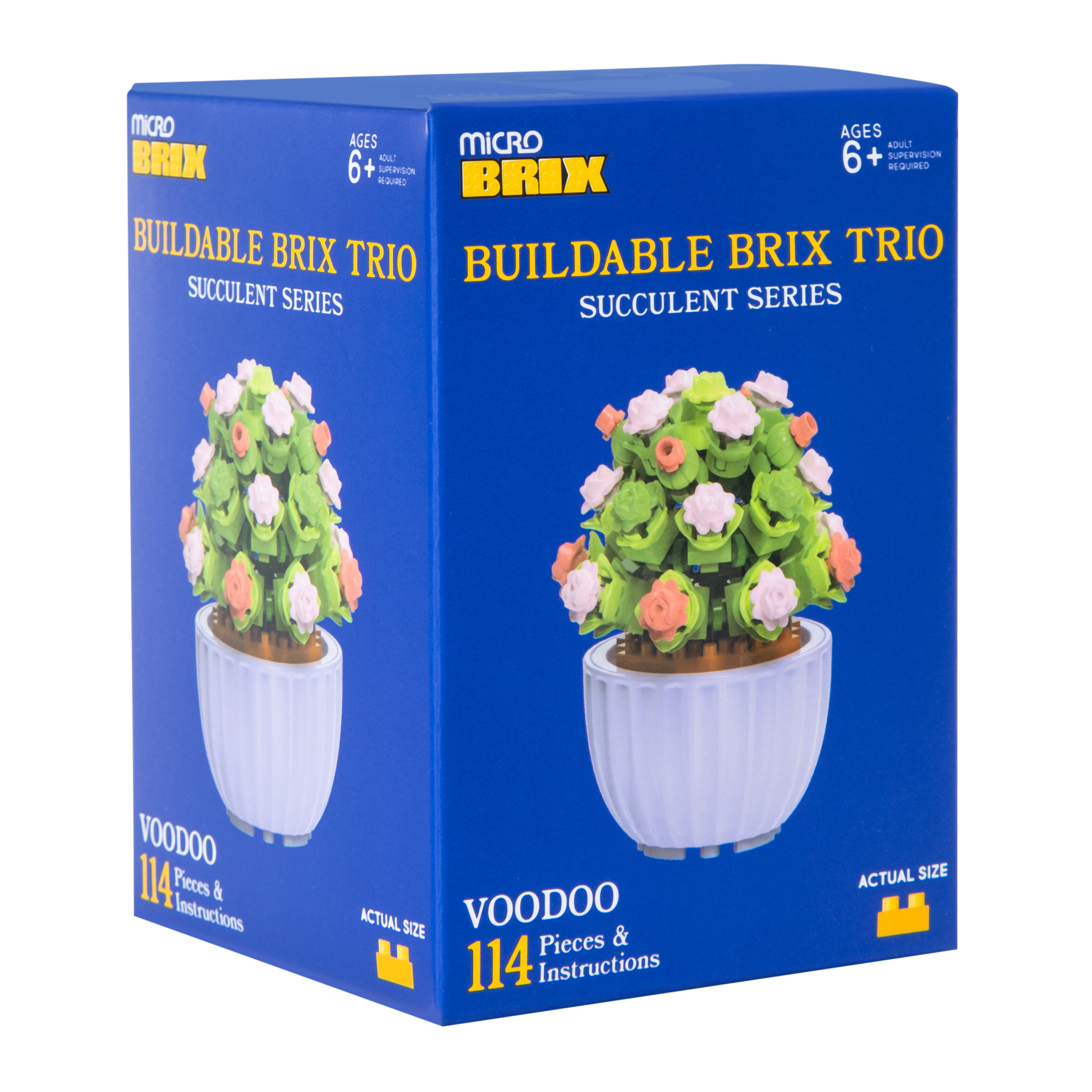 SAO 3点セット Five Below Succulent Buildable Brix Trio 3-Pack at Hamilton Place