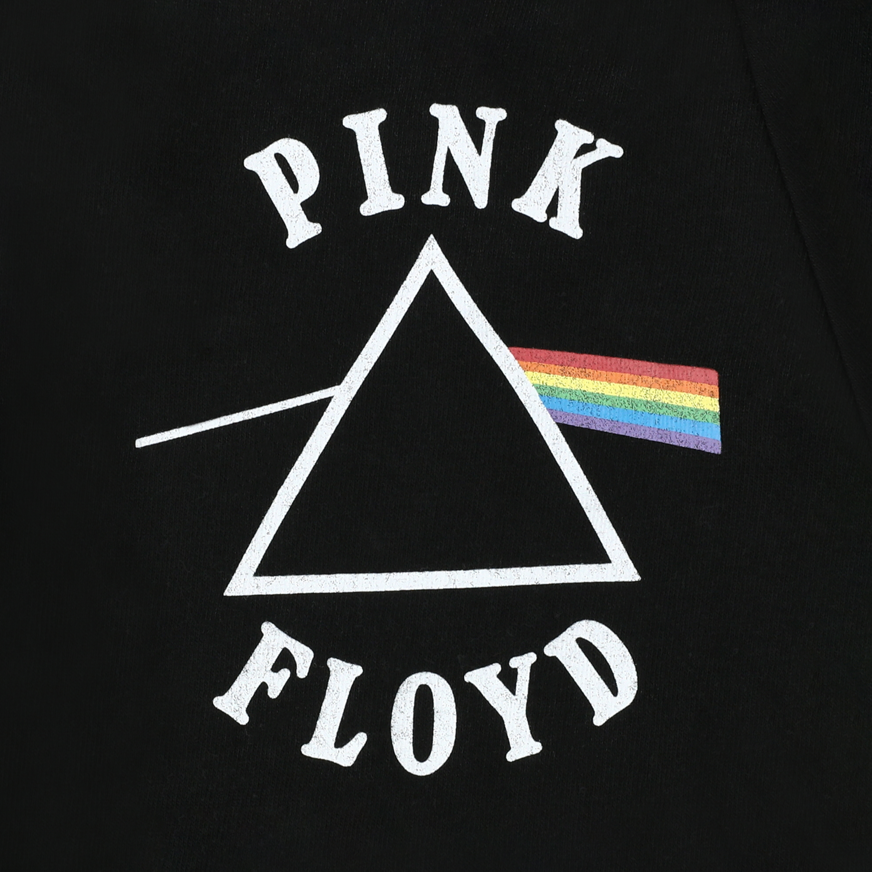 Pets Pink Floyd Graphic Tee