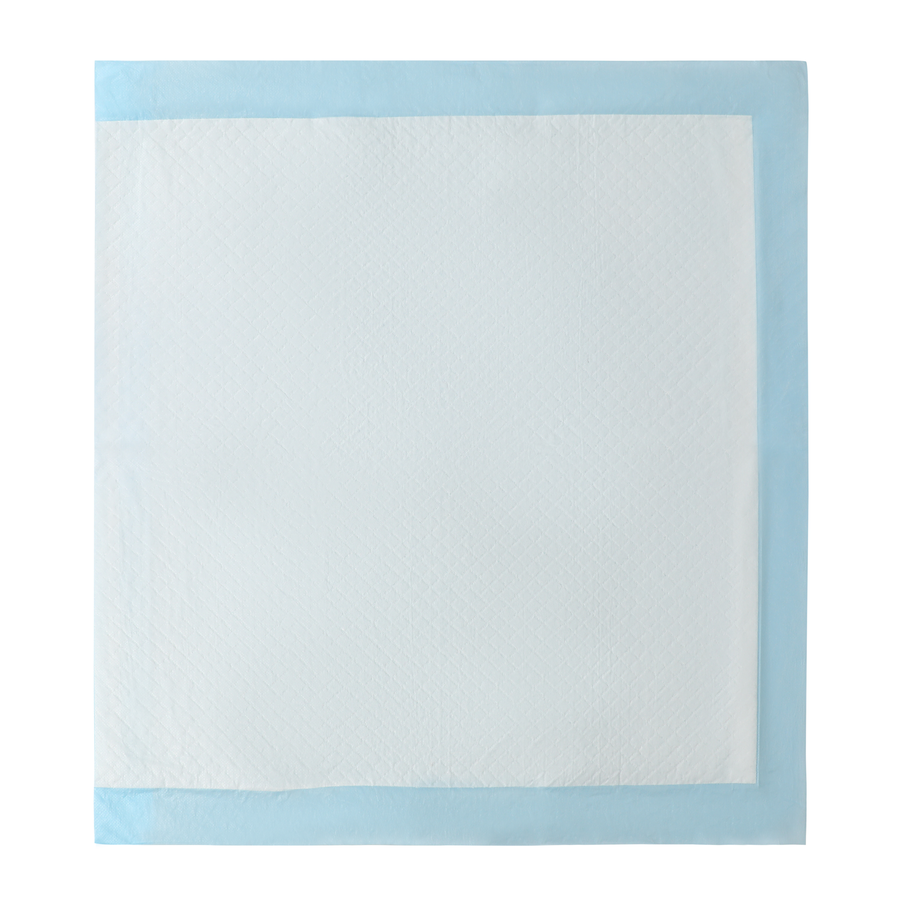 Pawsitively Fun! Pets Training Pads 30-Pack