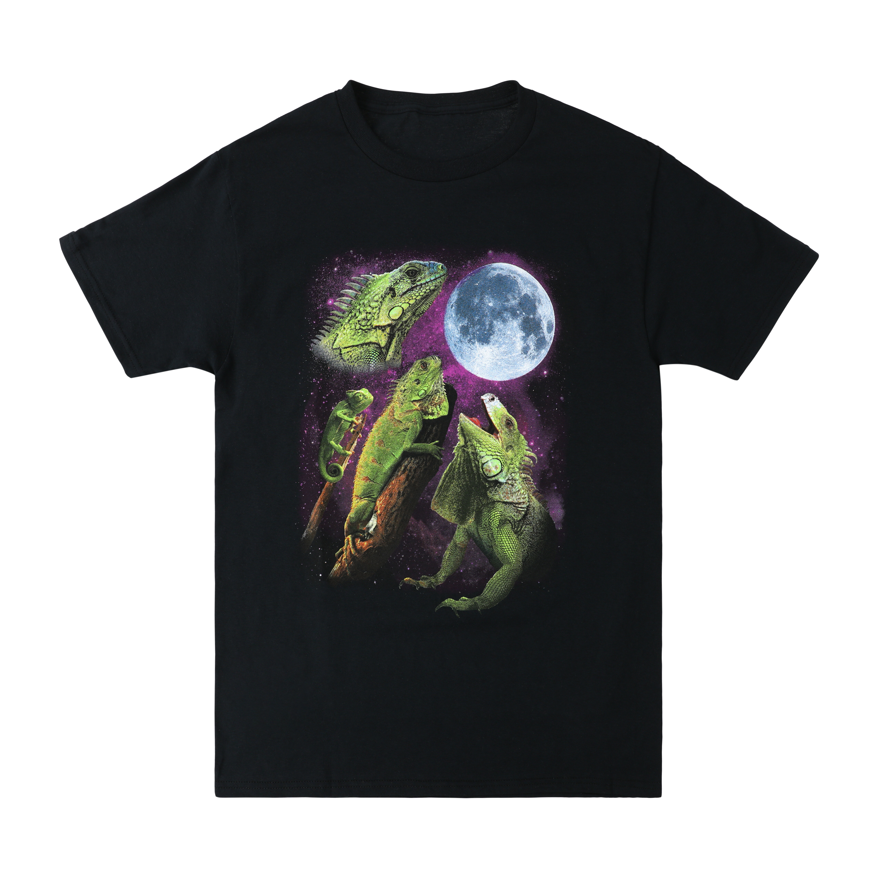 Lizard Moon Graphic Tee