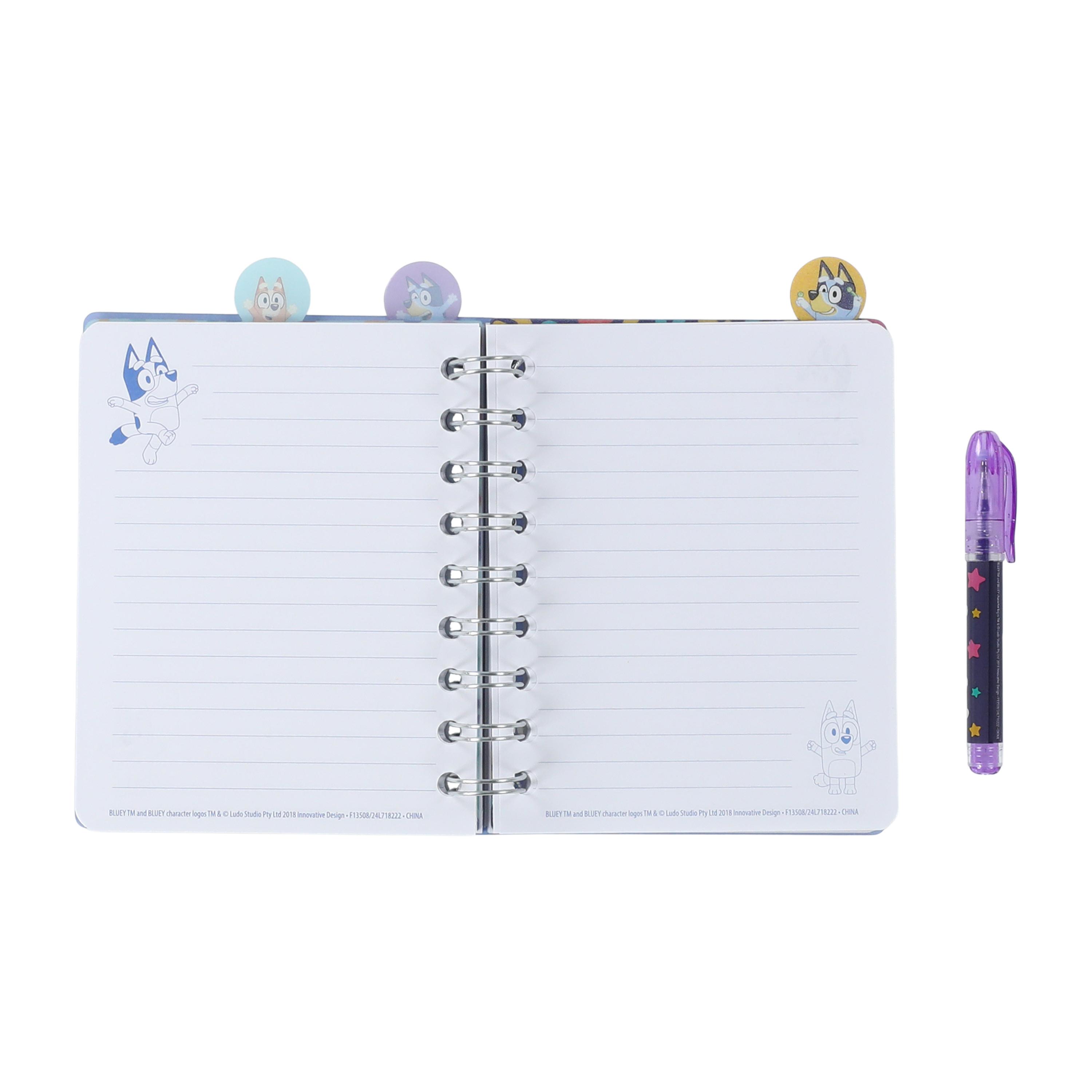 Bluey™ Mini Journal Set