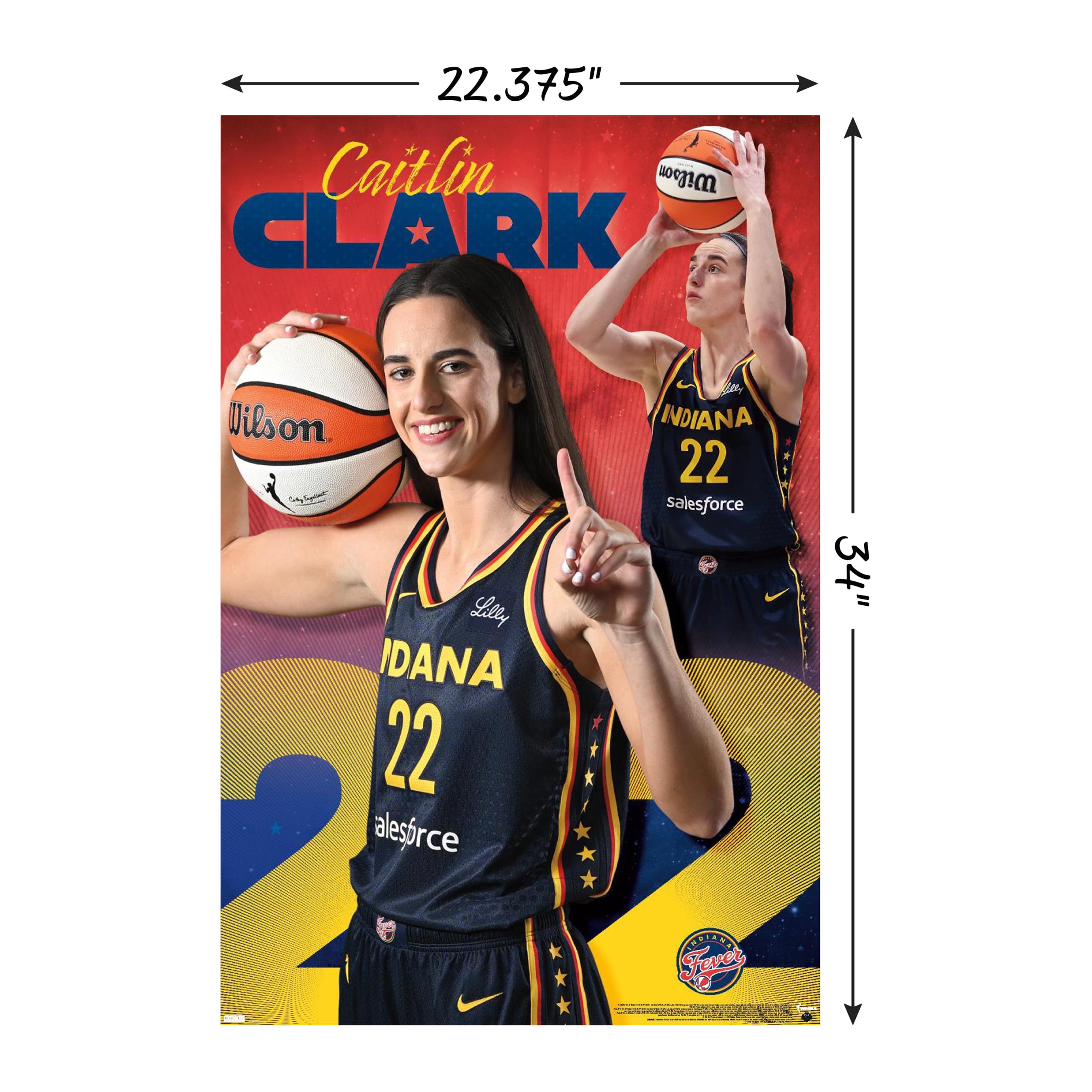 WNBA Indiana Fever Poster 22.37in x 34in