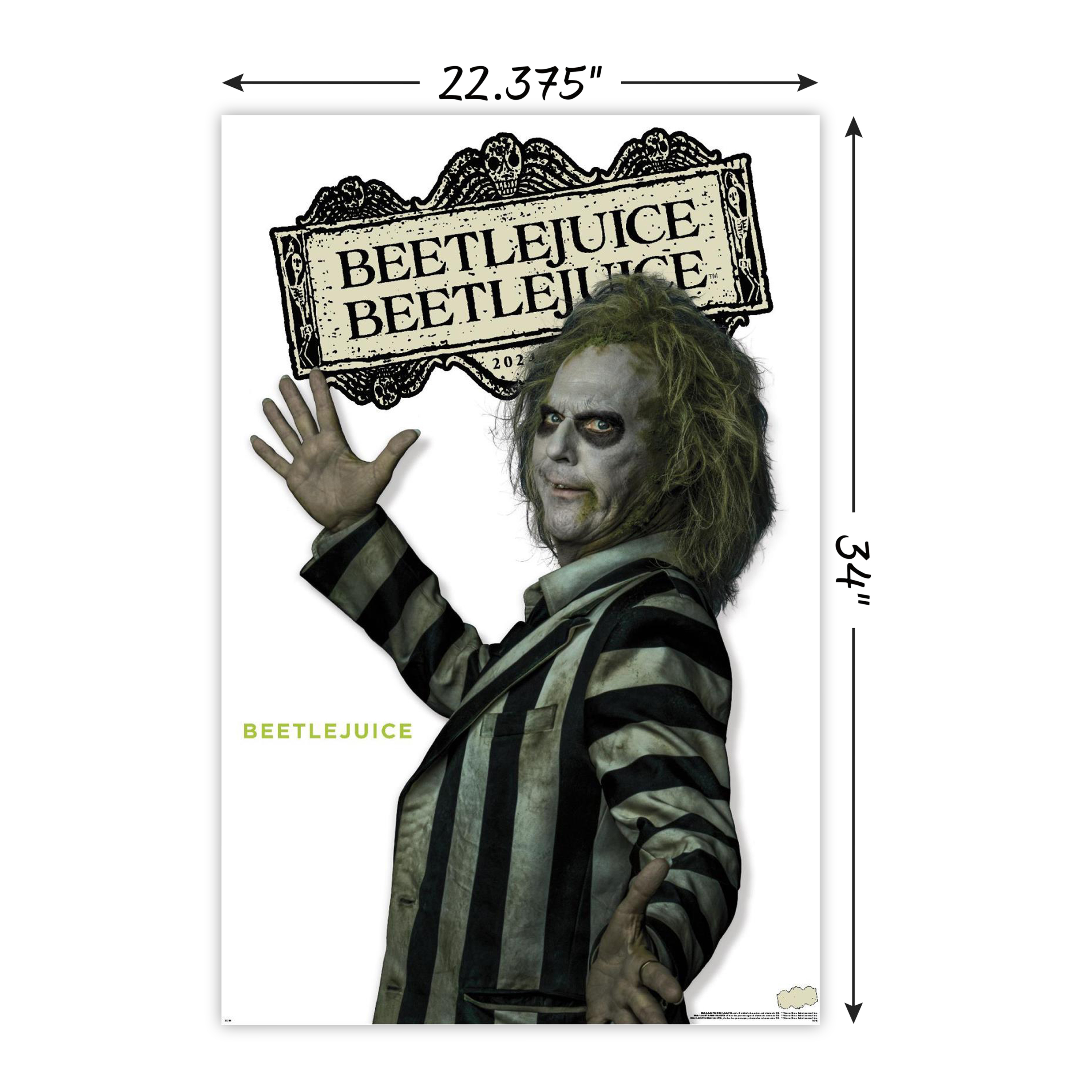 Wall Art Poster 22.3in x 34in