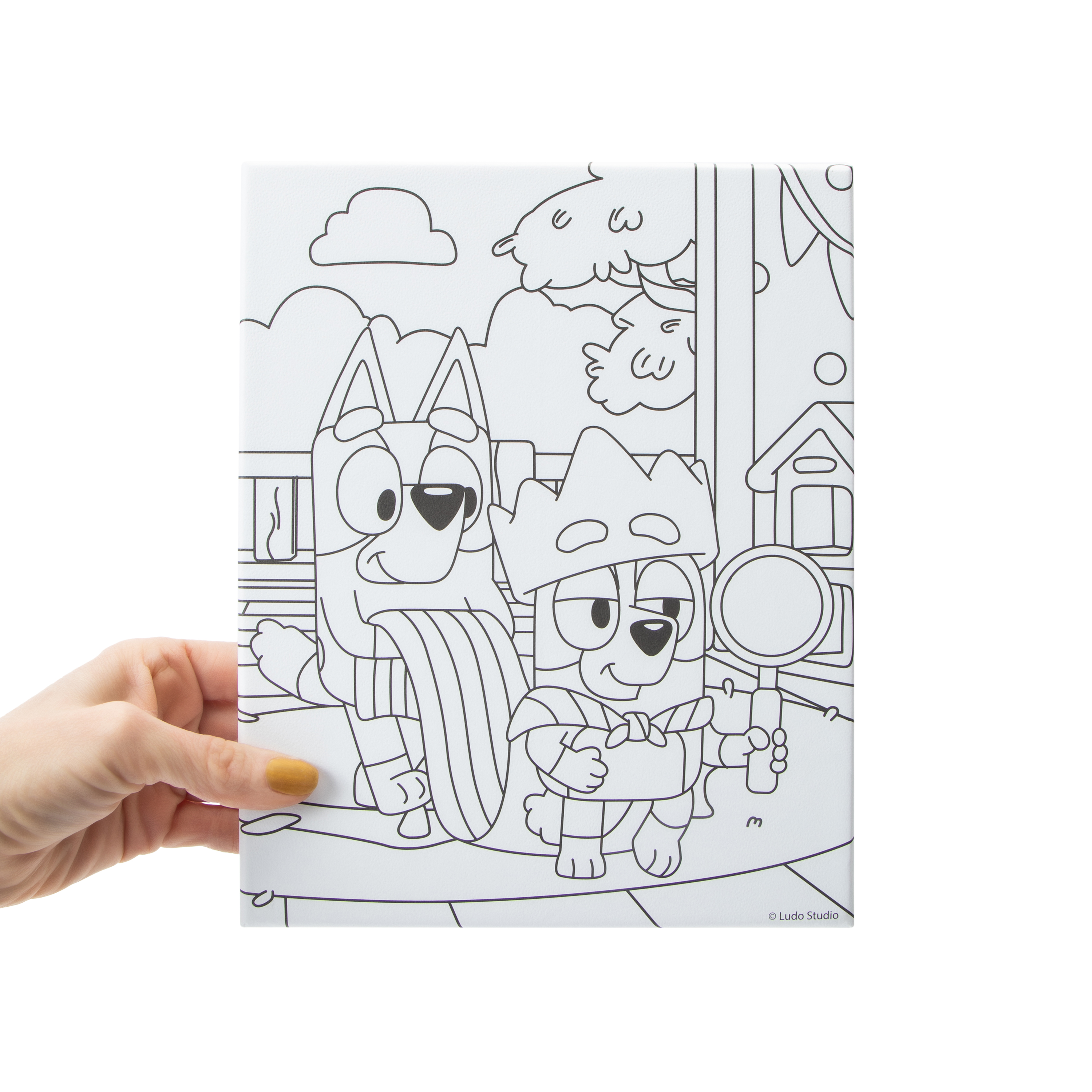 Bluey™ Paint Your Own Wall Art Set