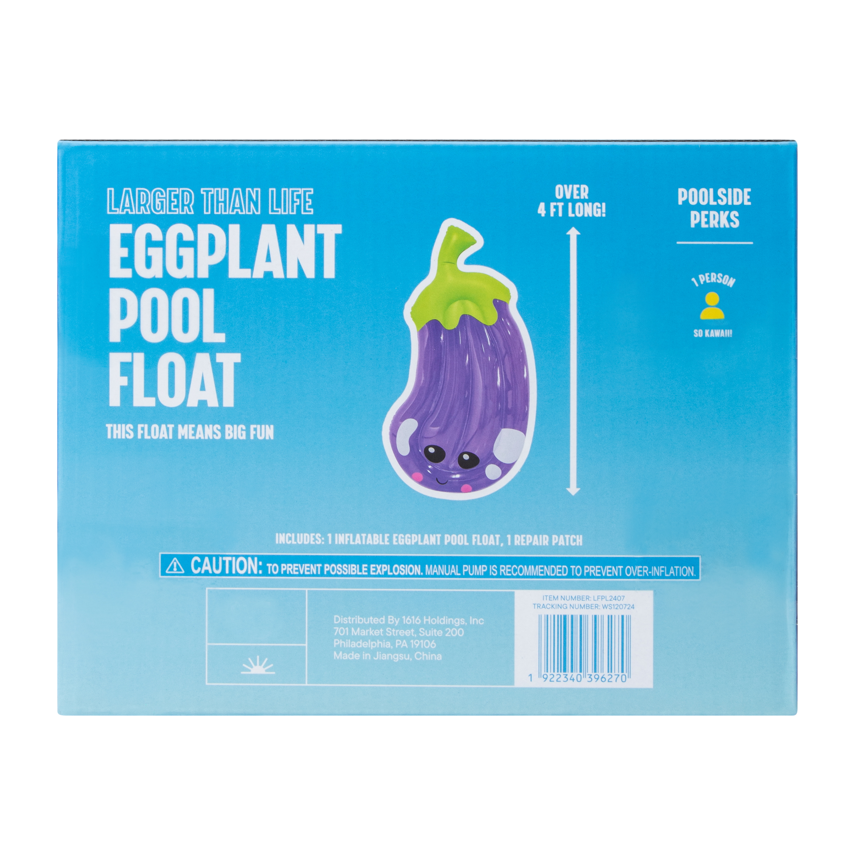 Eggplant Pool Float