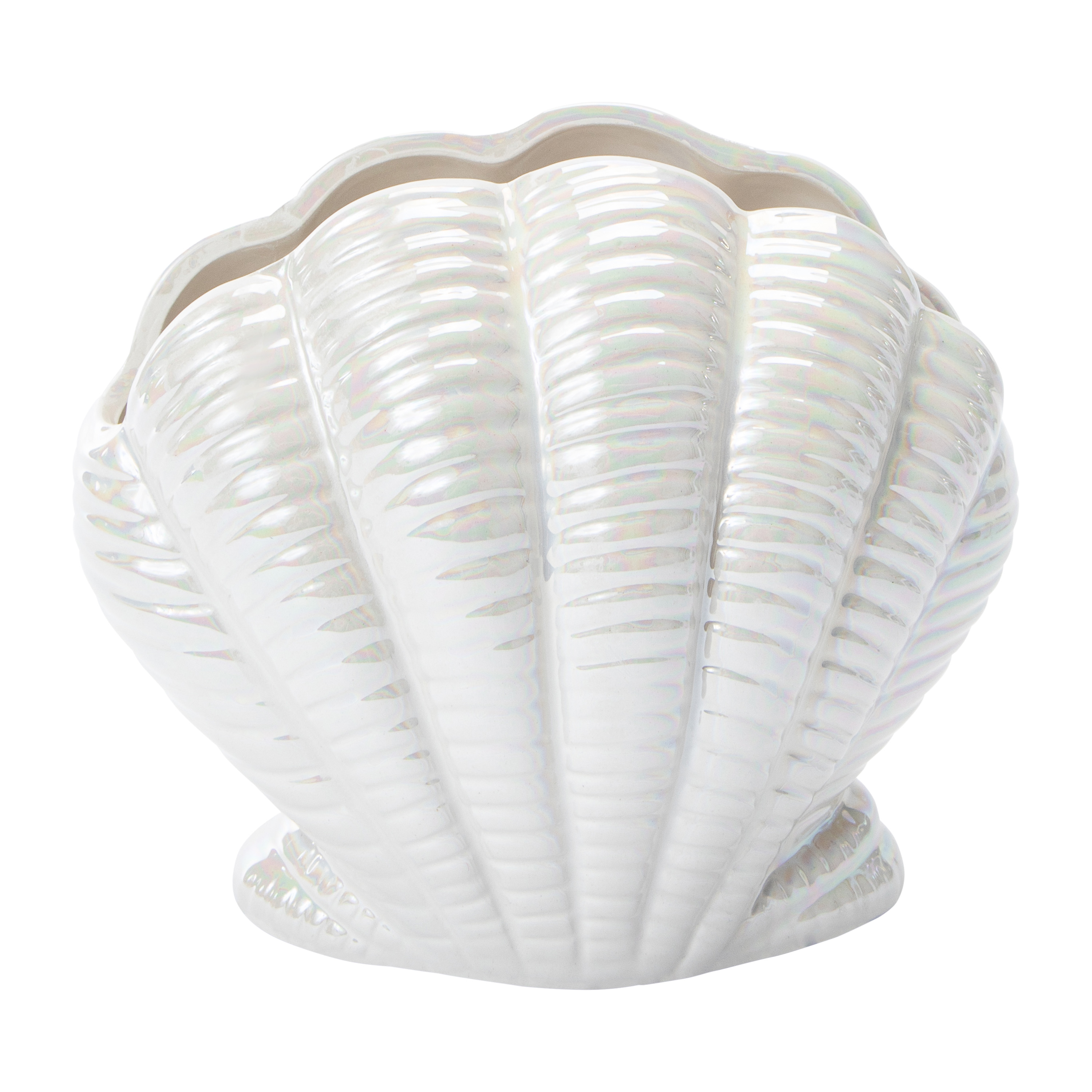 Seashell Vase