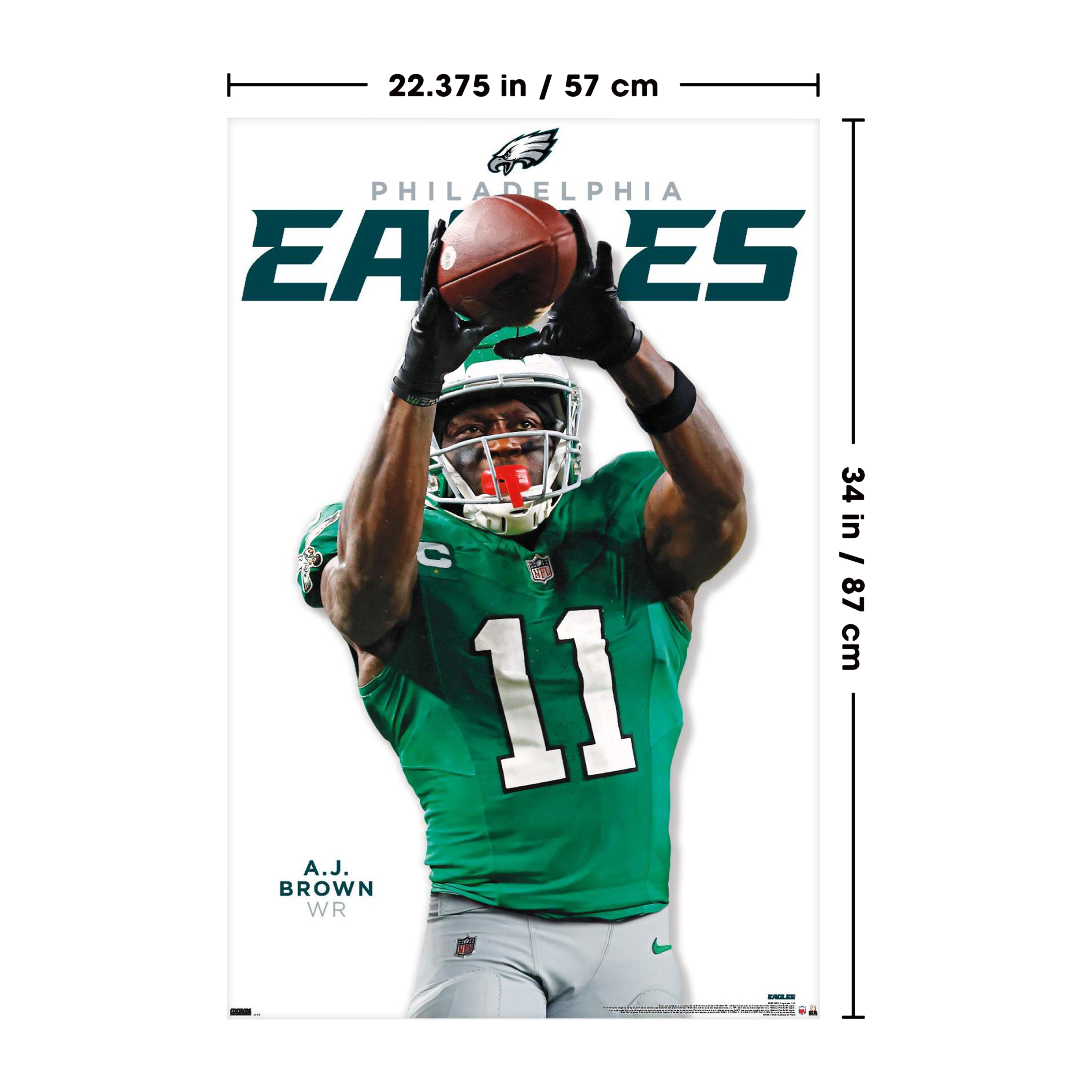 Trends NFL Posters