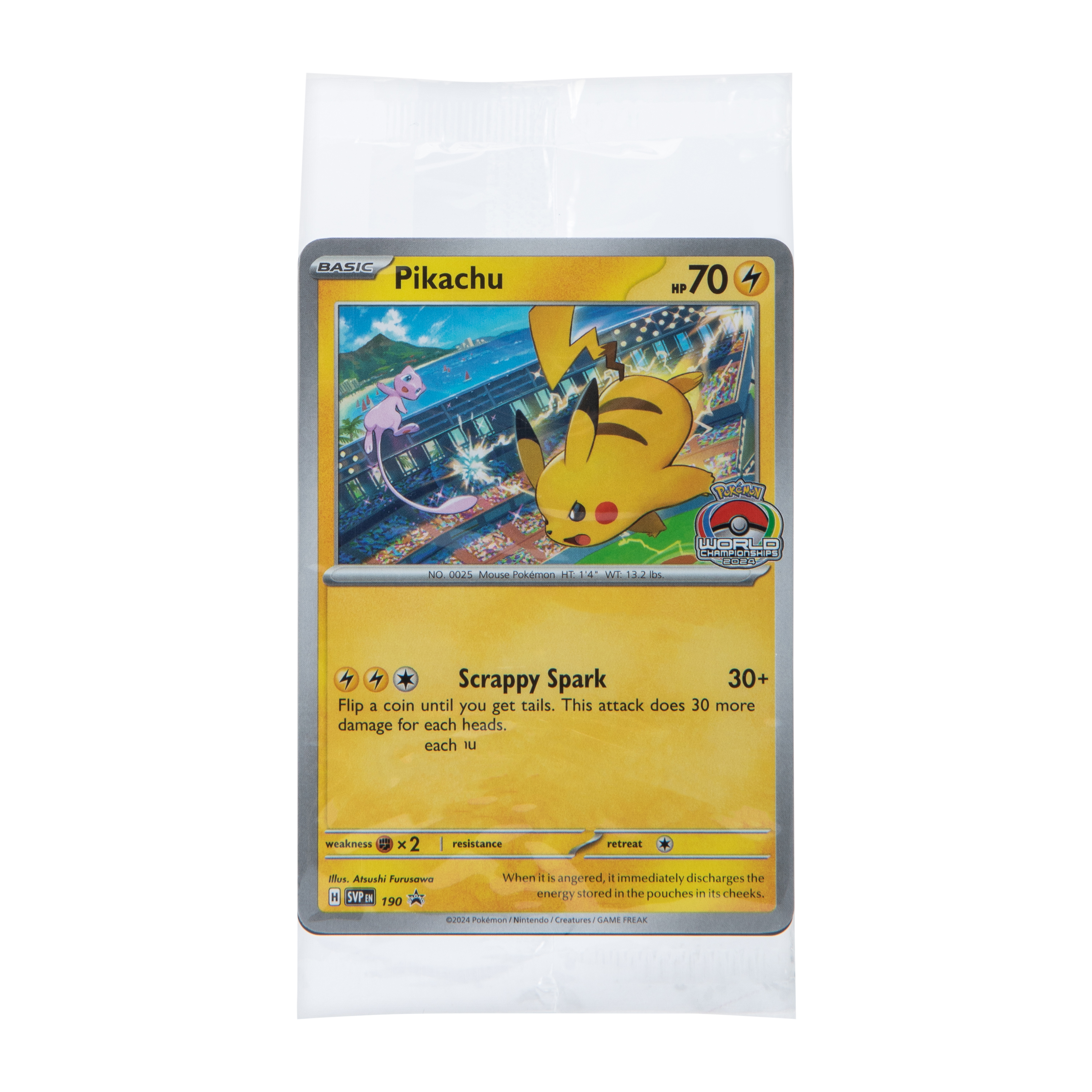 Pokémon Promo Cards (Styles May Vary)