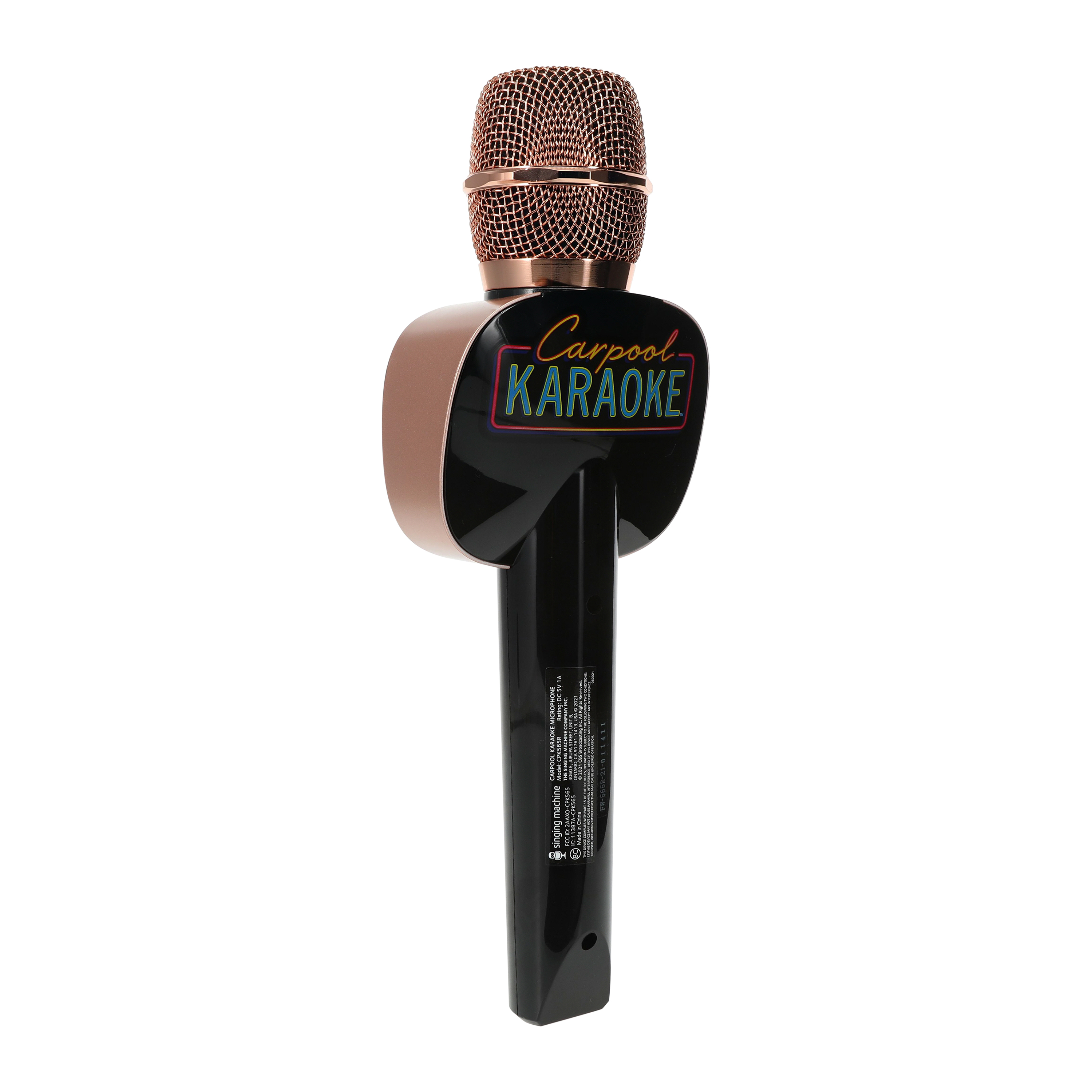 Système de Karaoké Portable,Tout-en-Un Karaoké Complet ,2 Microphones