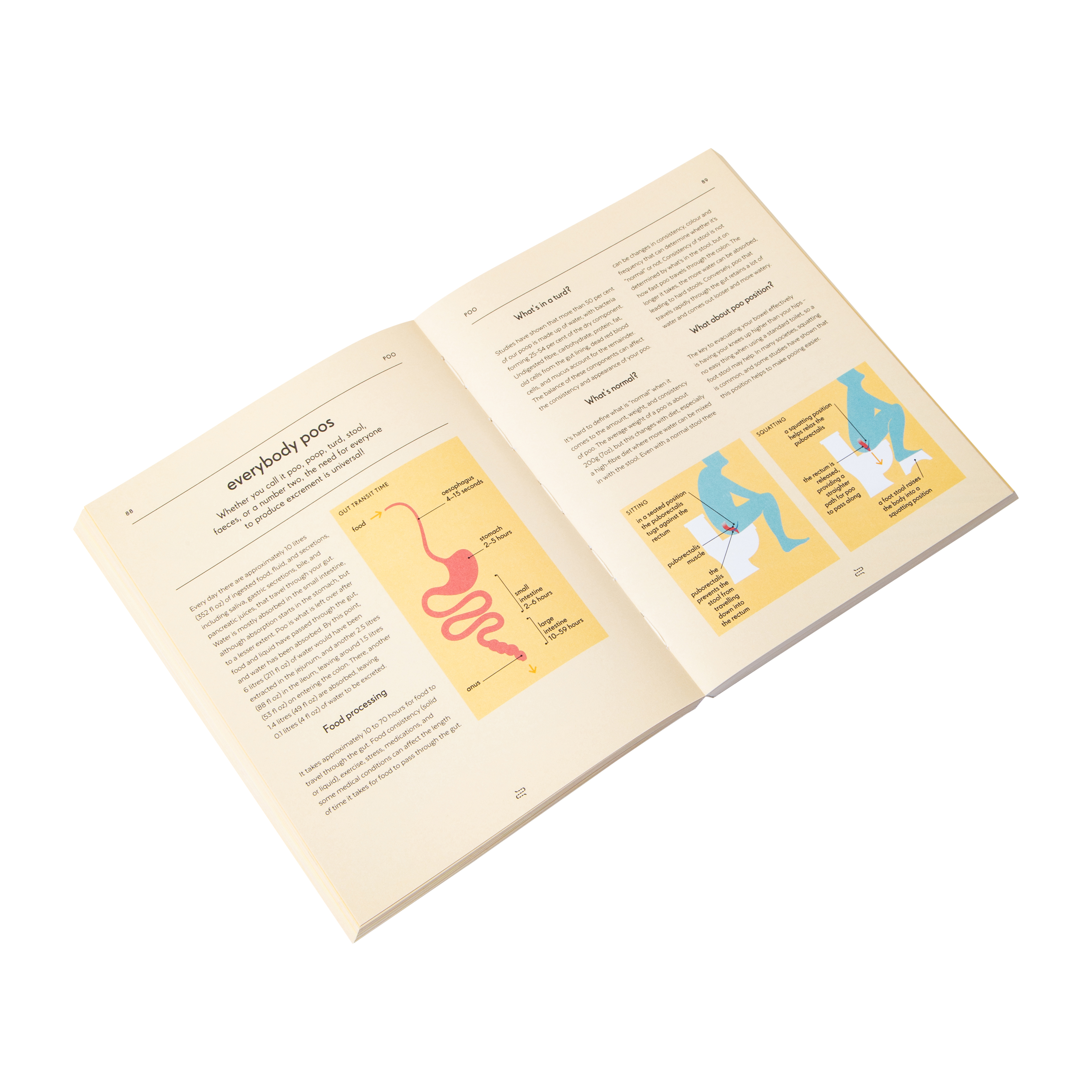 Gut An Owner's Guide Book