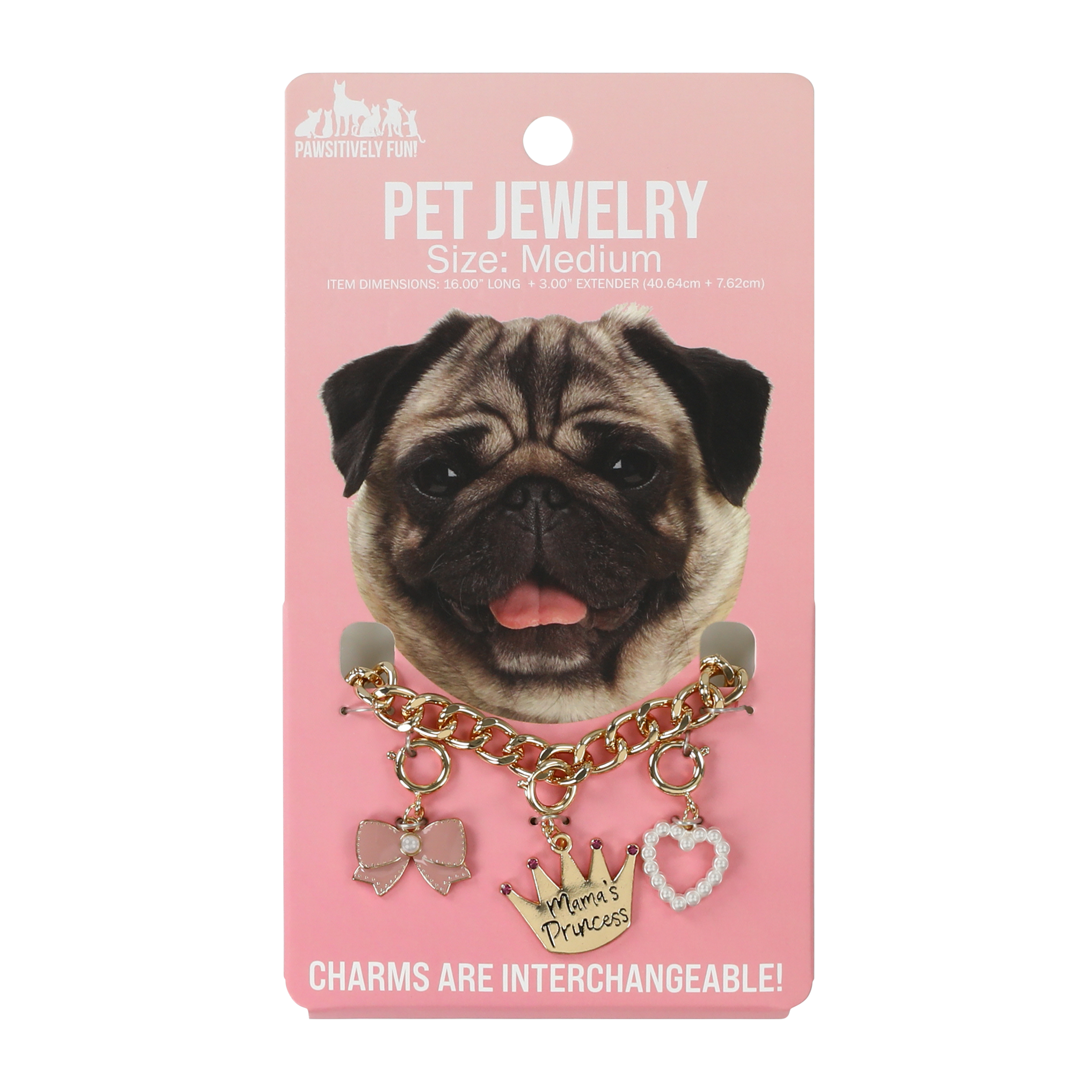 Pawsitively Fun! Small Pet Jewelry
