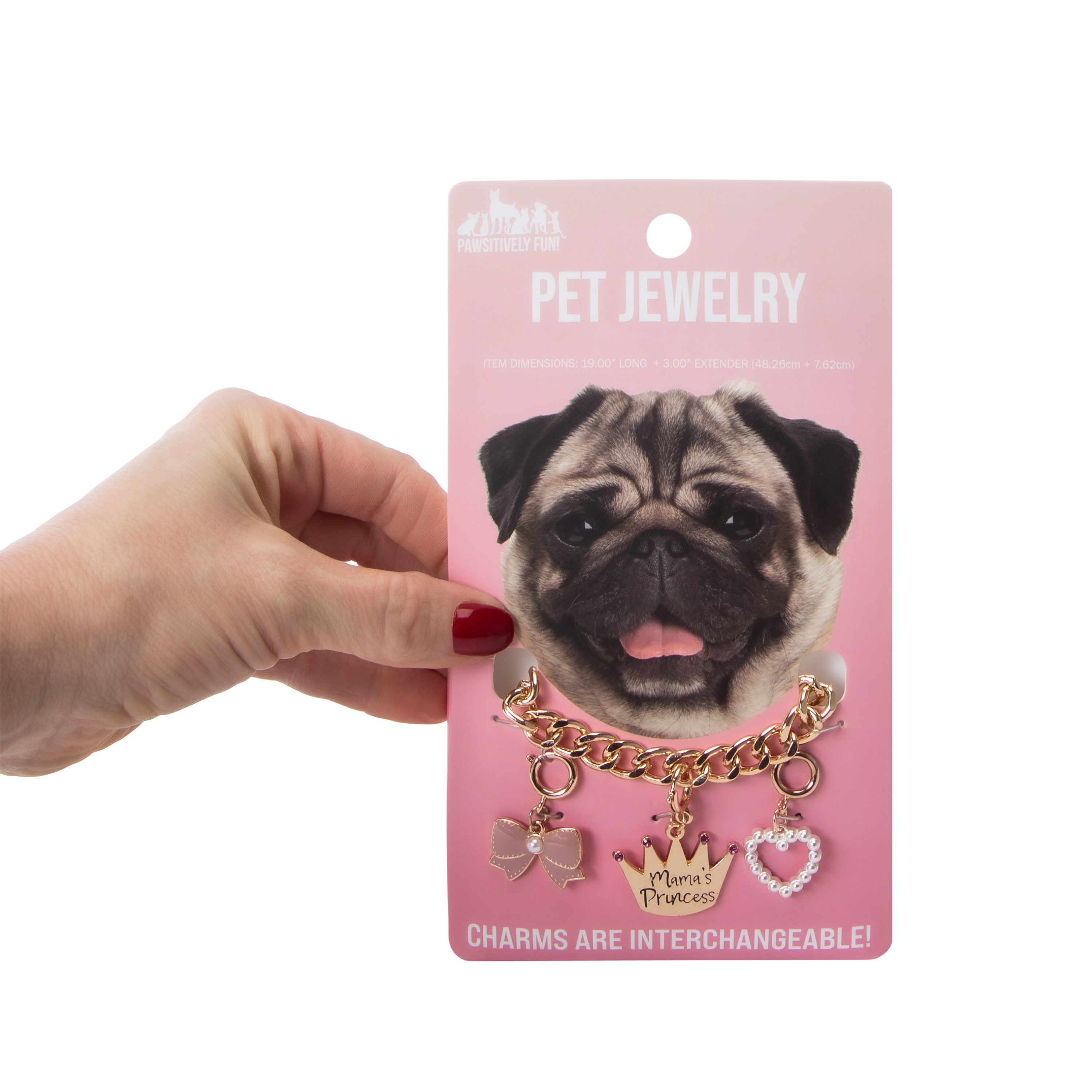 Pawsitively Fun! Large Pet Jewelry With Charm