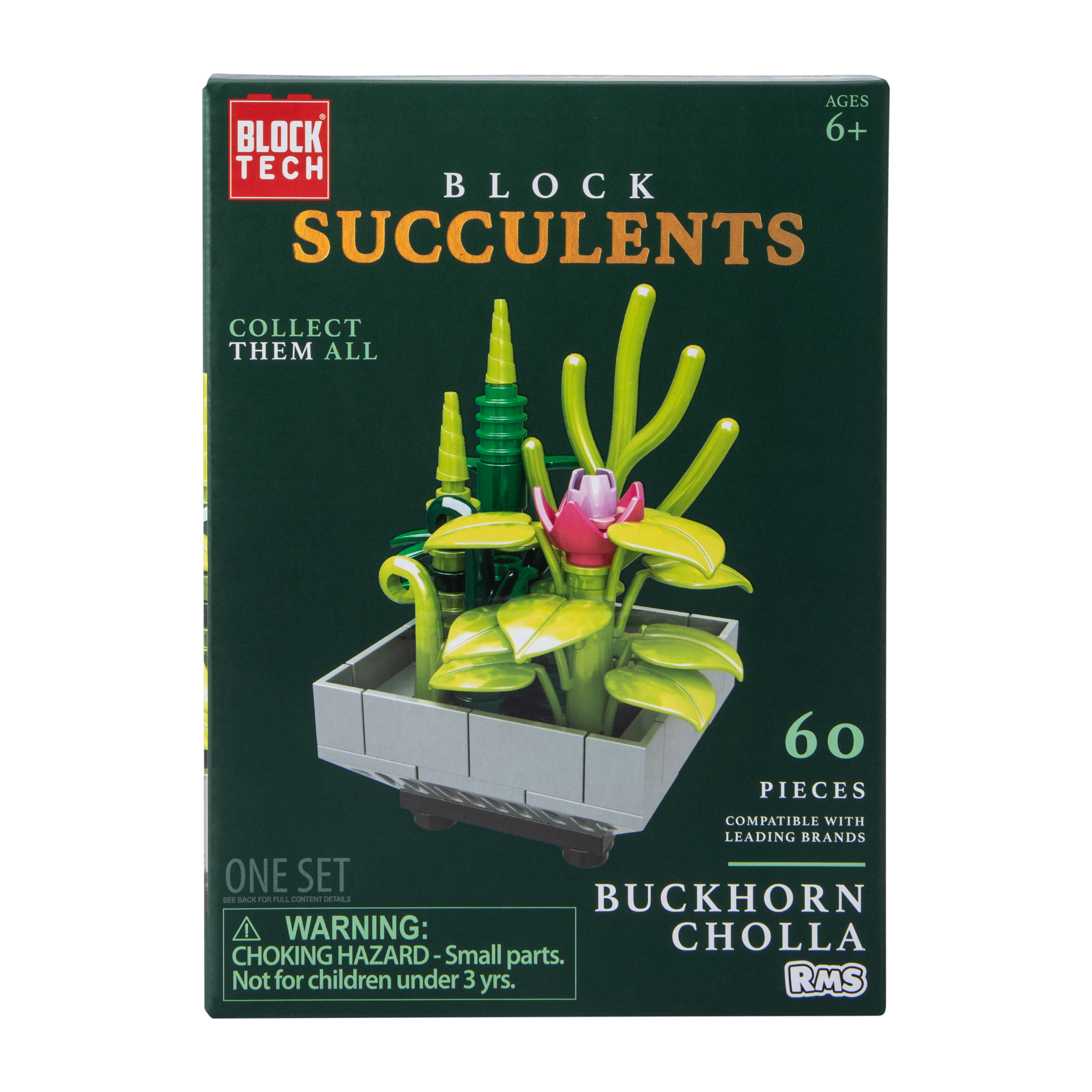 Block Tech® Block Succulents Set | Five Below