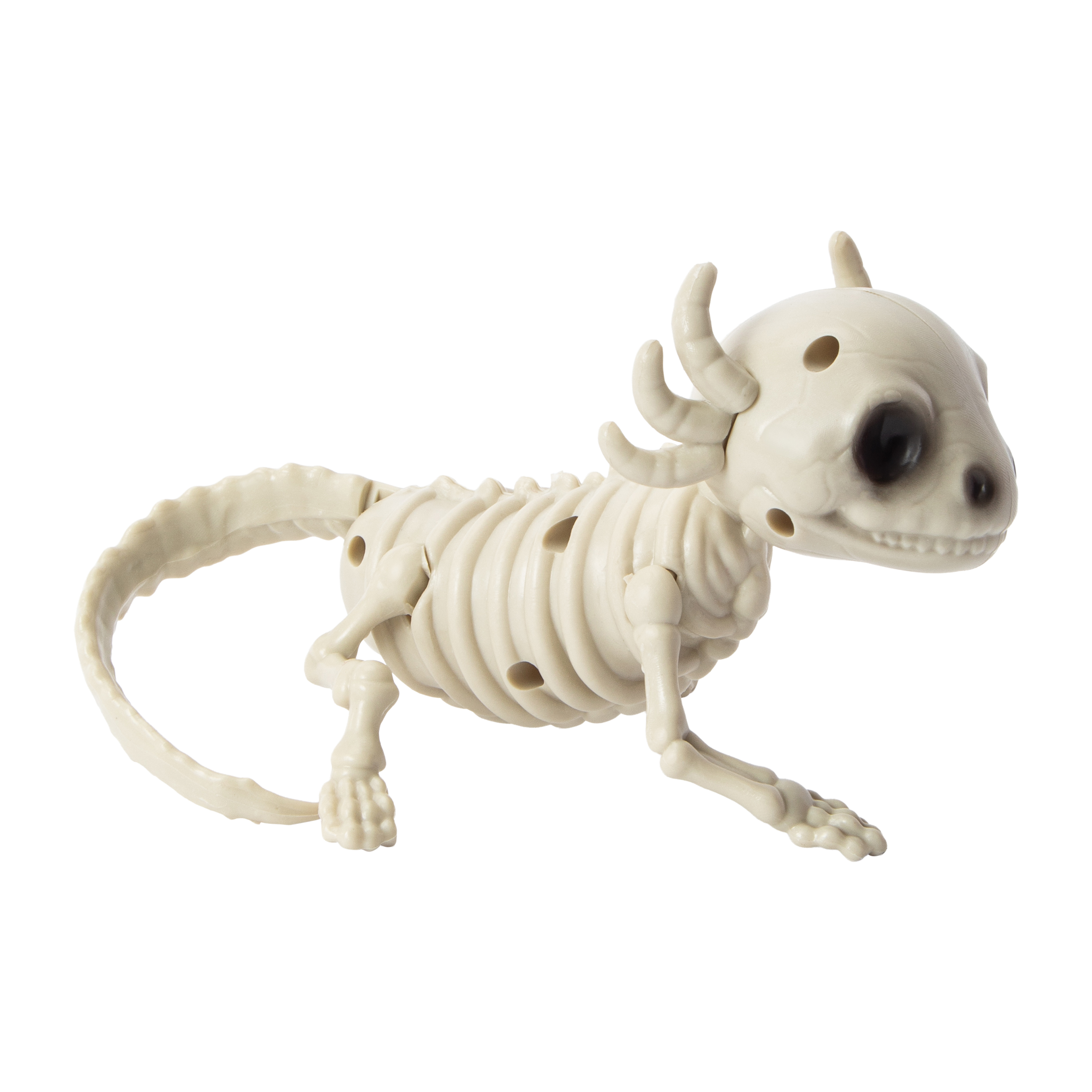 Halloween Axolotl Skeleton