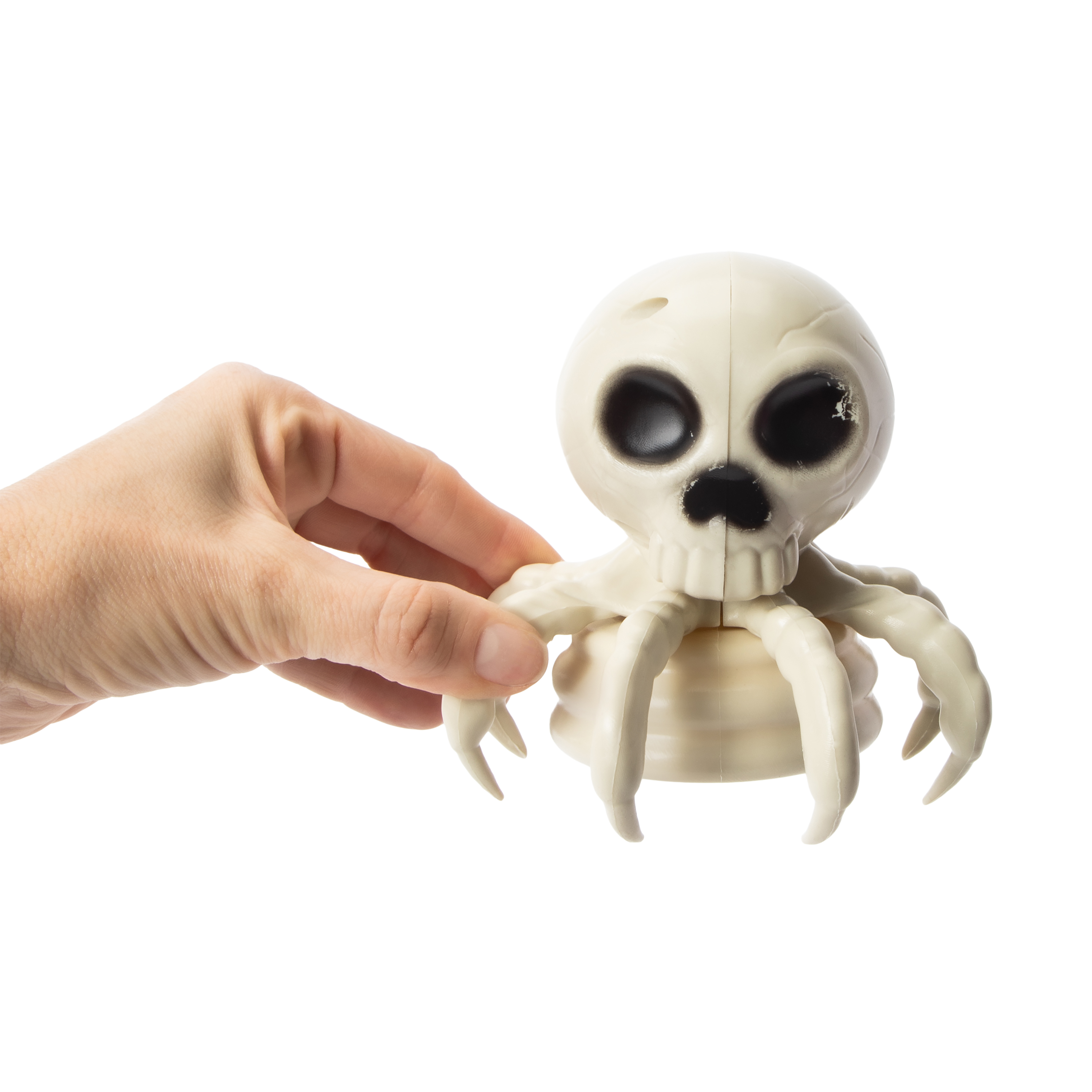 Halloween Octopus Skeleton