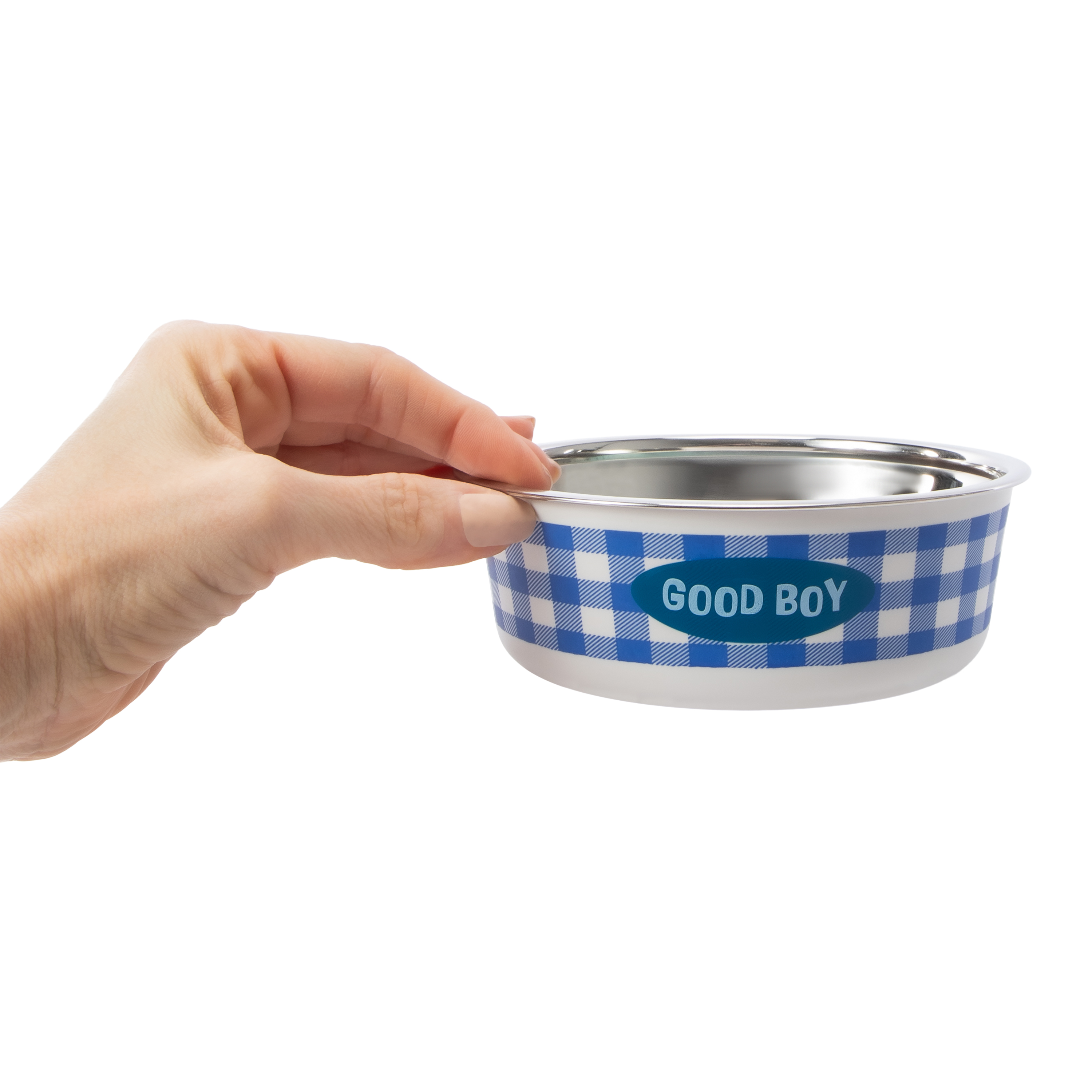 Pawsitively Fun! Pet Bowl For Small Dogs