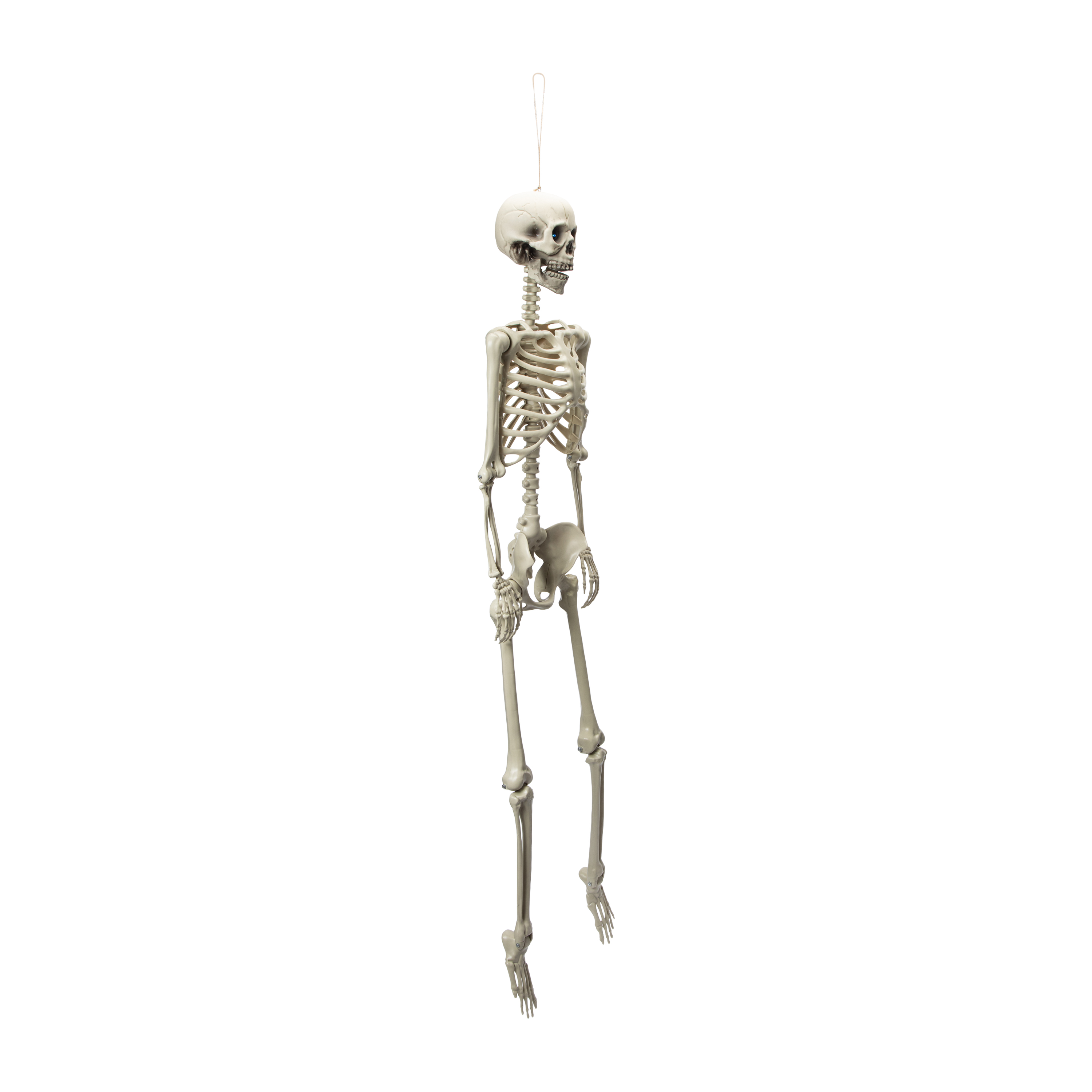 Halloween Light-Up Skeleton