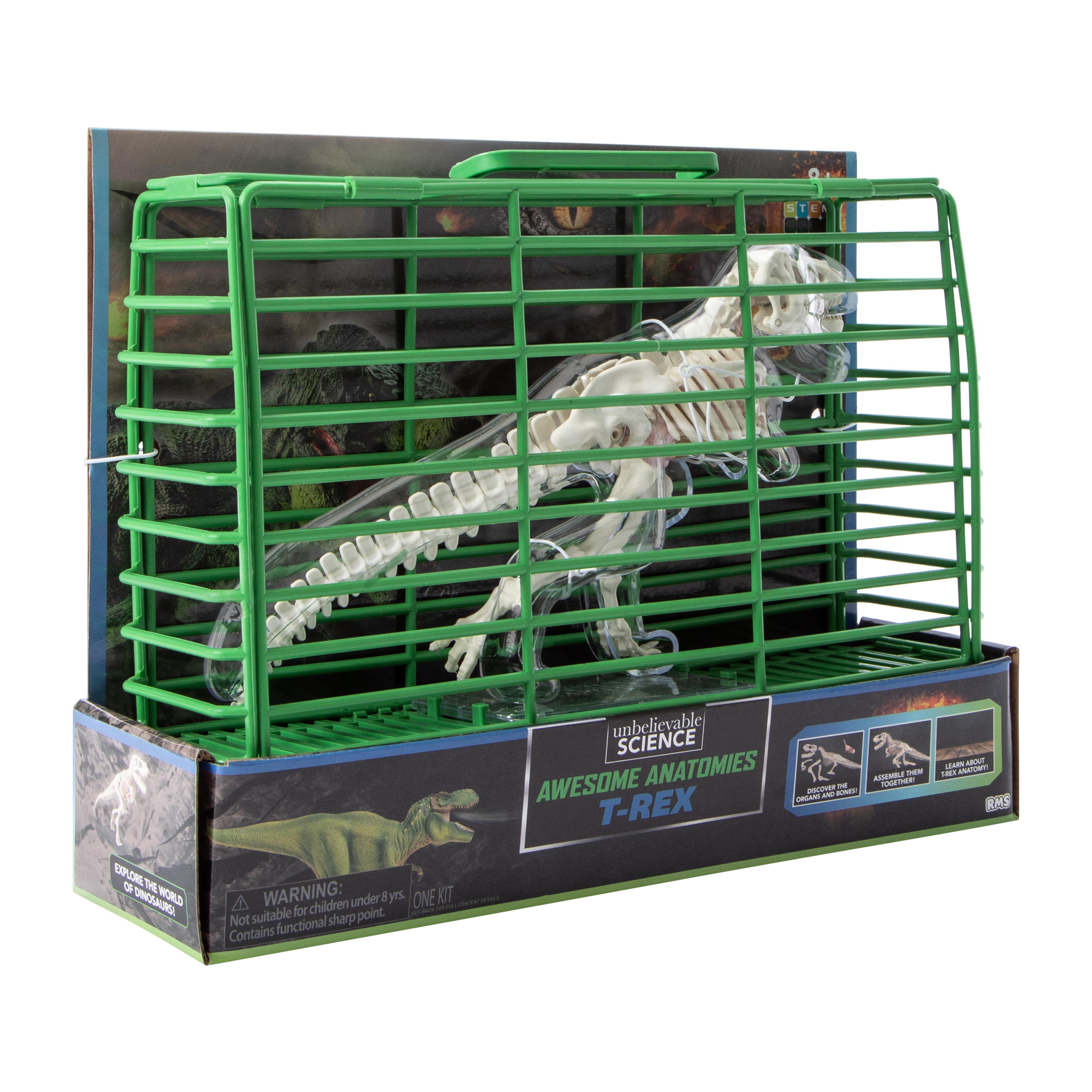 Unbelievable Science Awesome Anatomies Kit