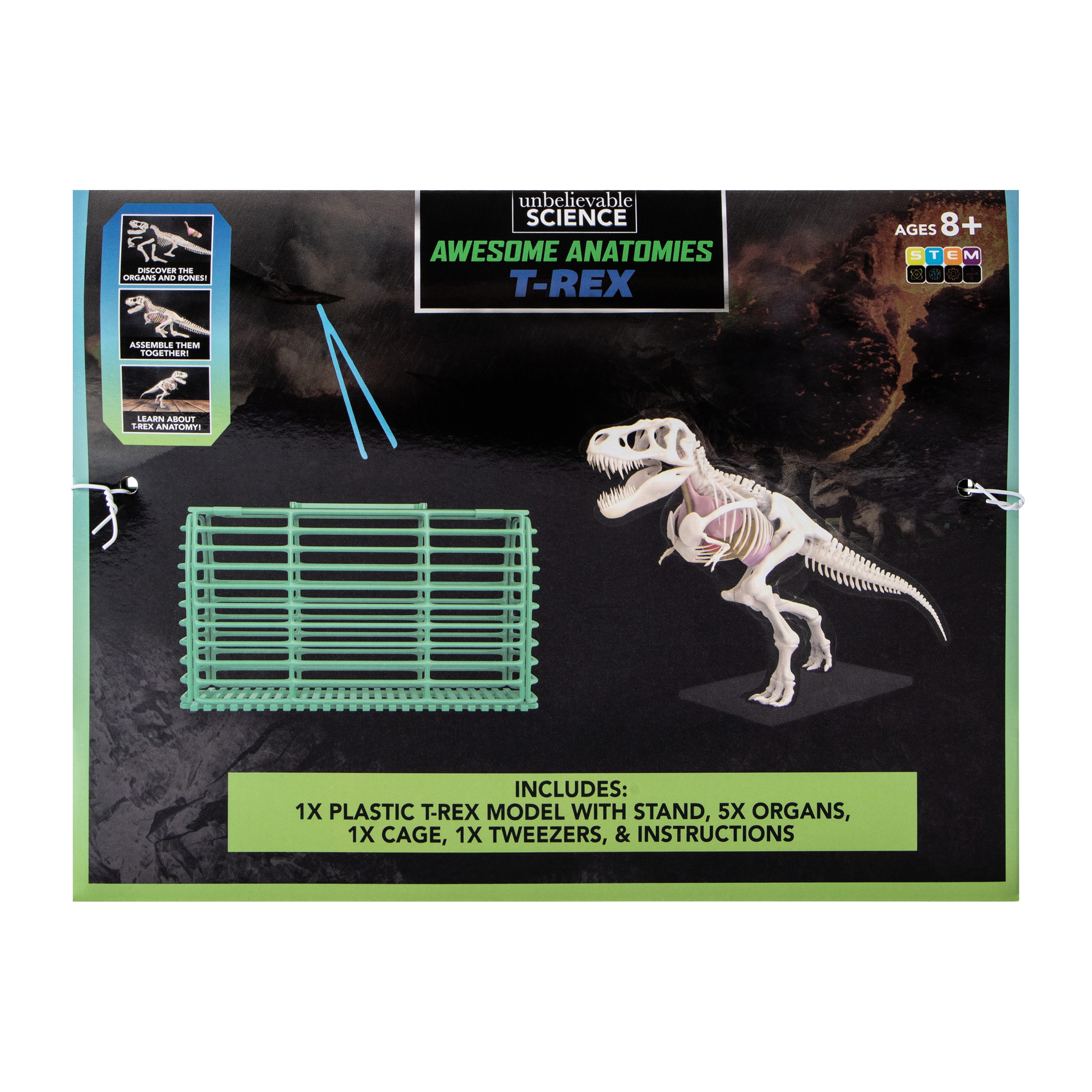 Unbelievable Science Awesome Anatomies Kit