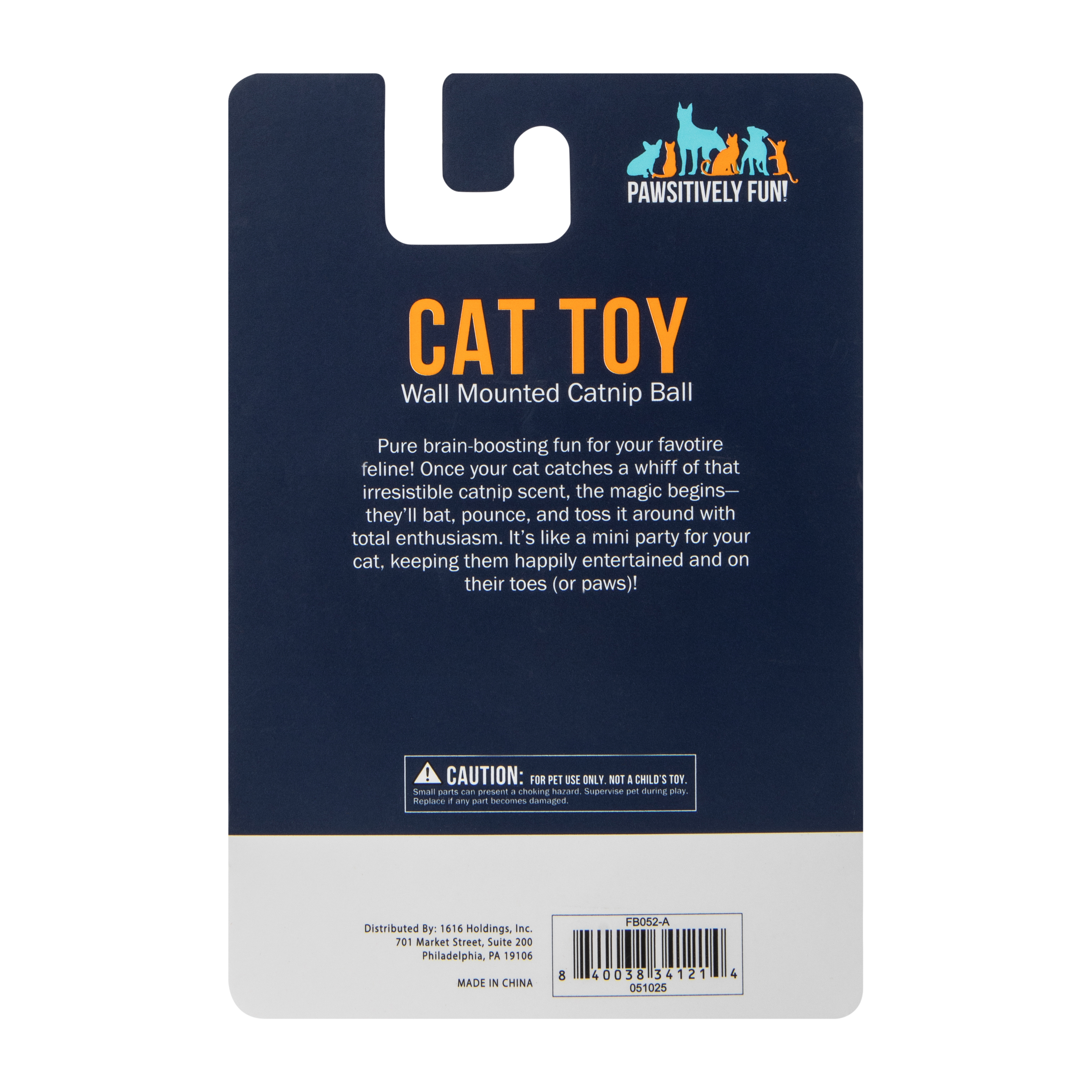 Pawsitively Fun! Wall Mounted Catnip Ball Toy