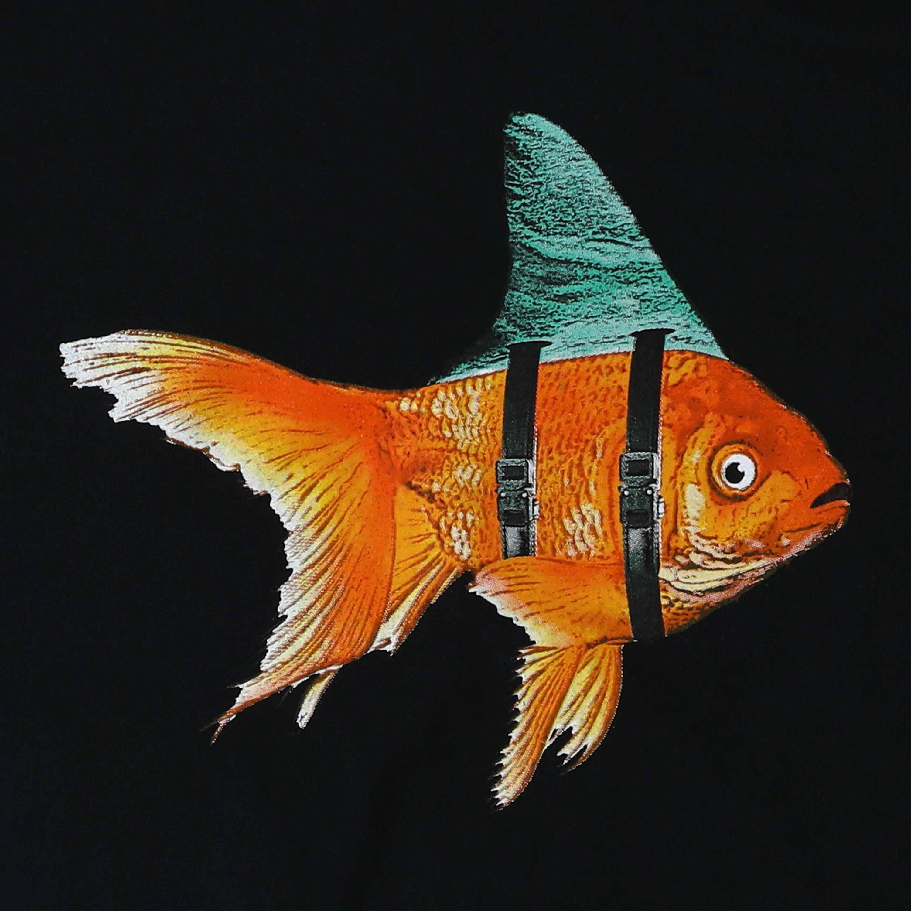 Goldfish Shark Fin Graphic Tee
