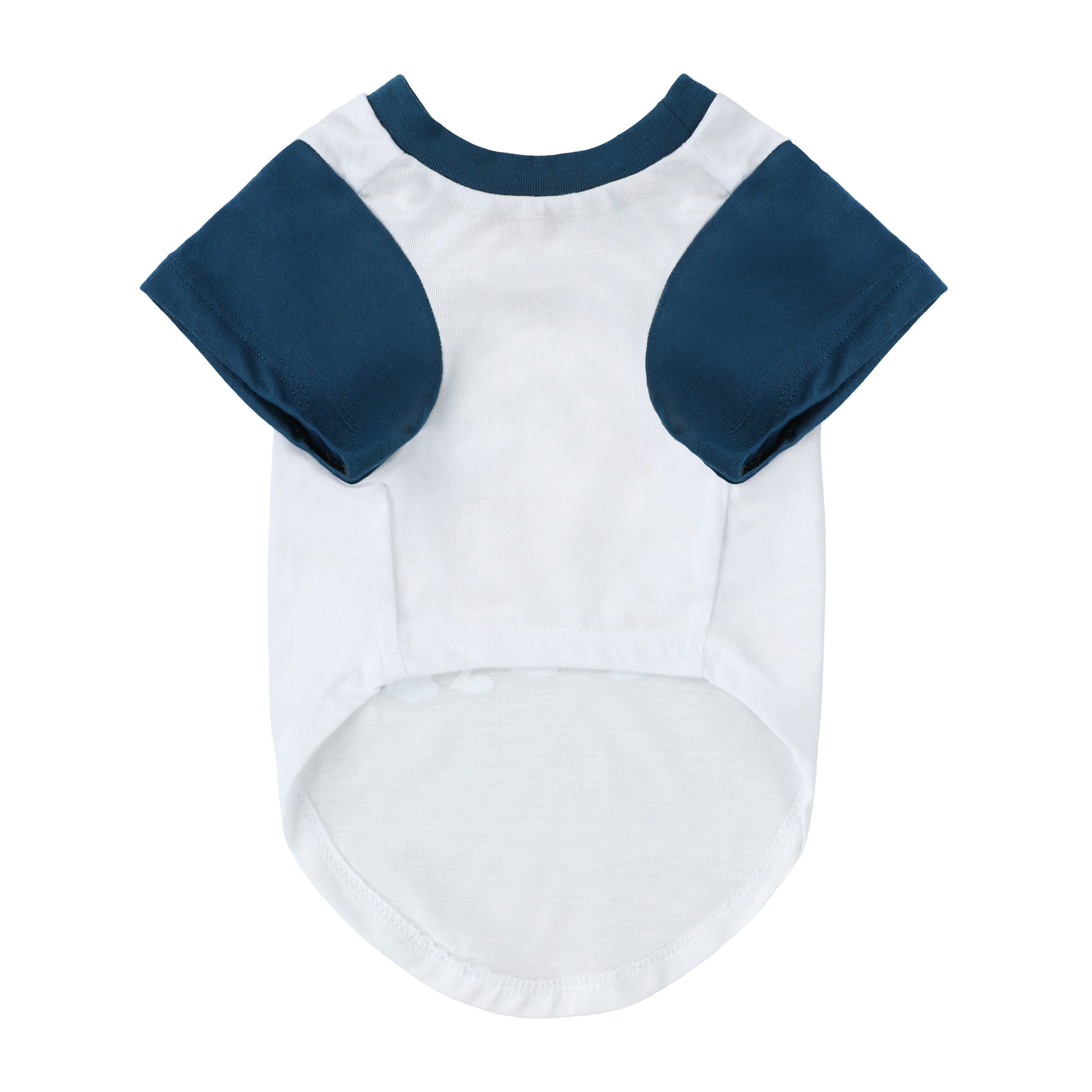 Hey Arnold!™ Graphic Pet Tee