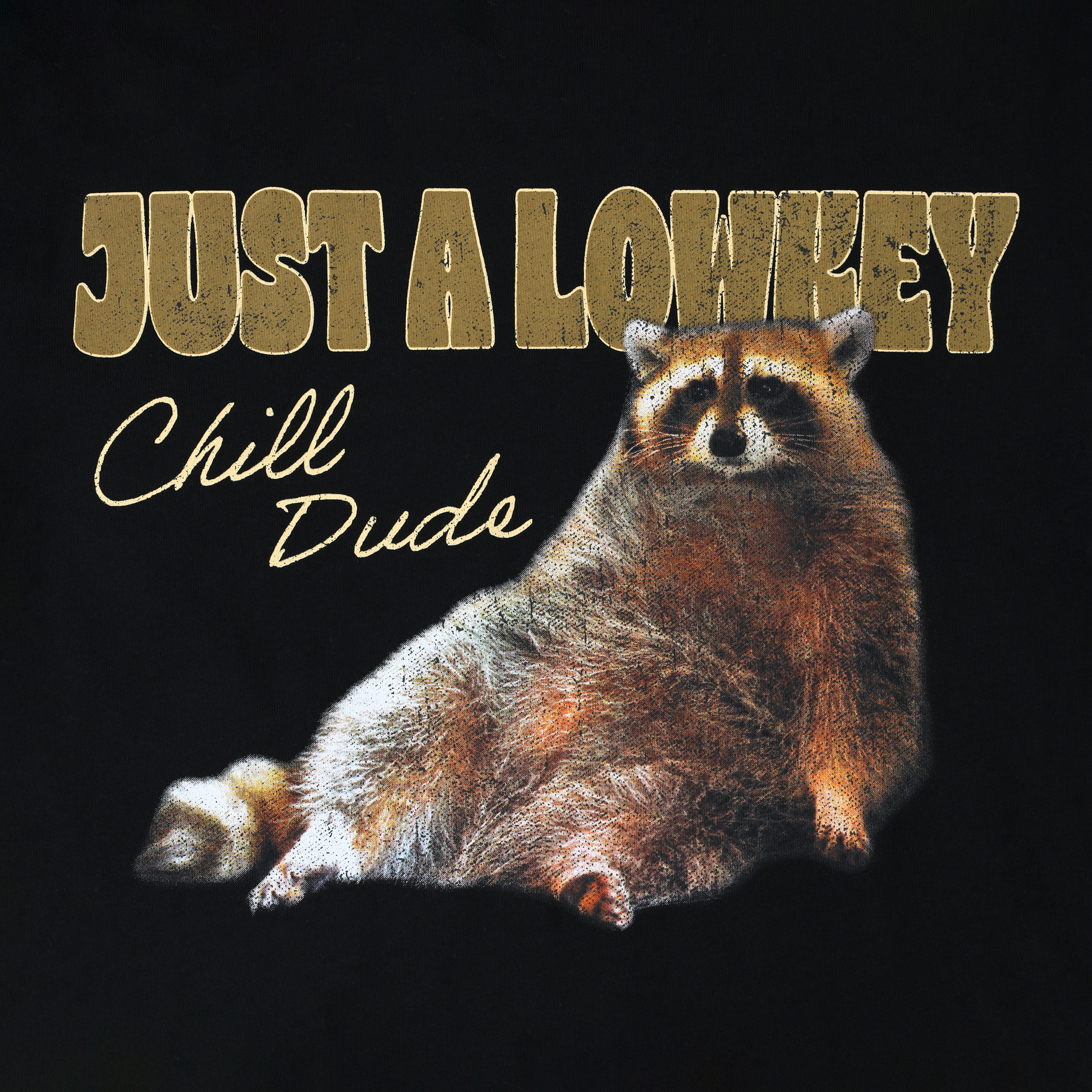 Raccoon Chill Dude Graphic Tee