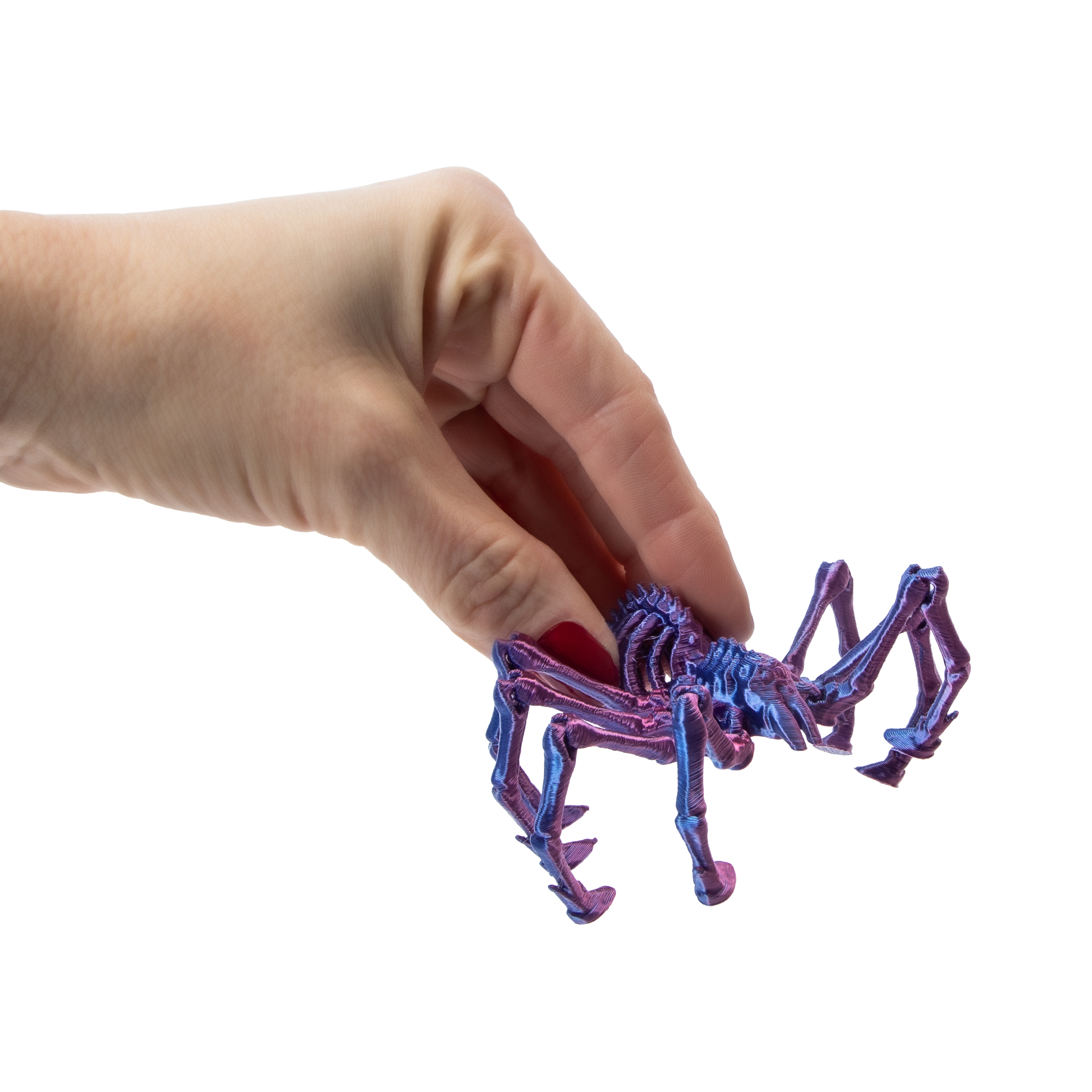 ORB Curiosities™ Flexisaurs Toy (Styles May Vary)