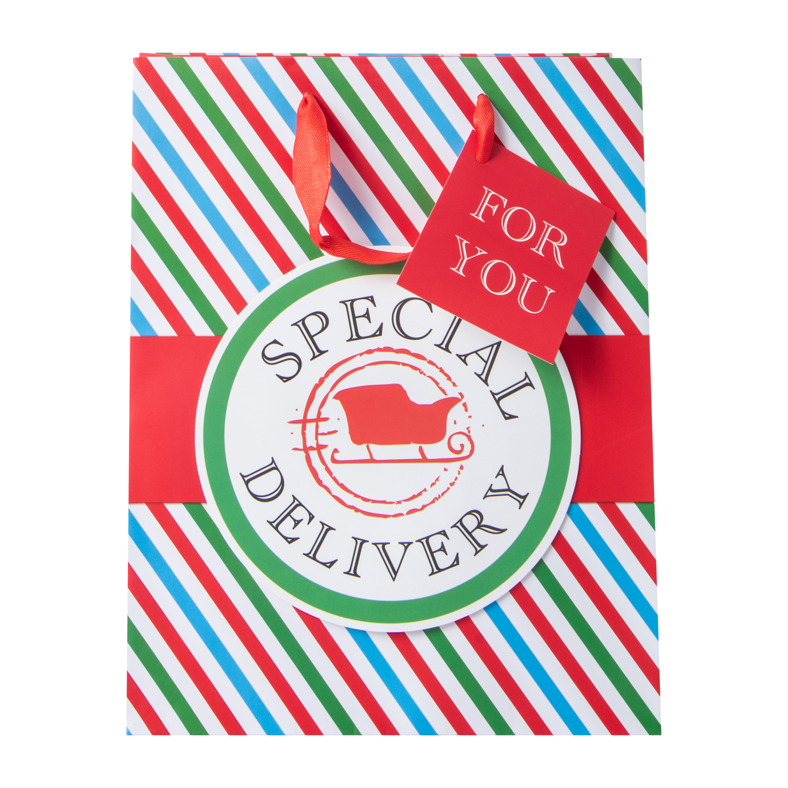 Christmas Special Delivery Gift Bag