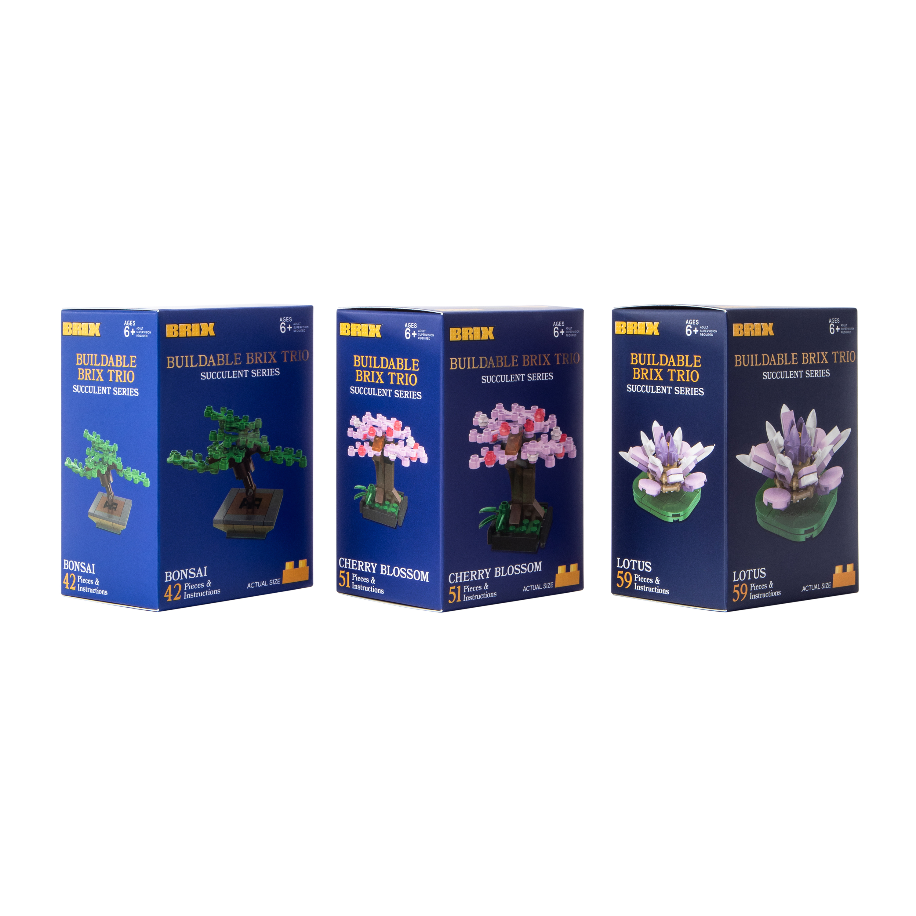 Succulent Buildable Brix Trio 3-Pack