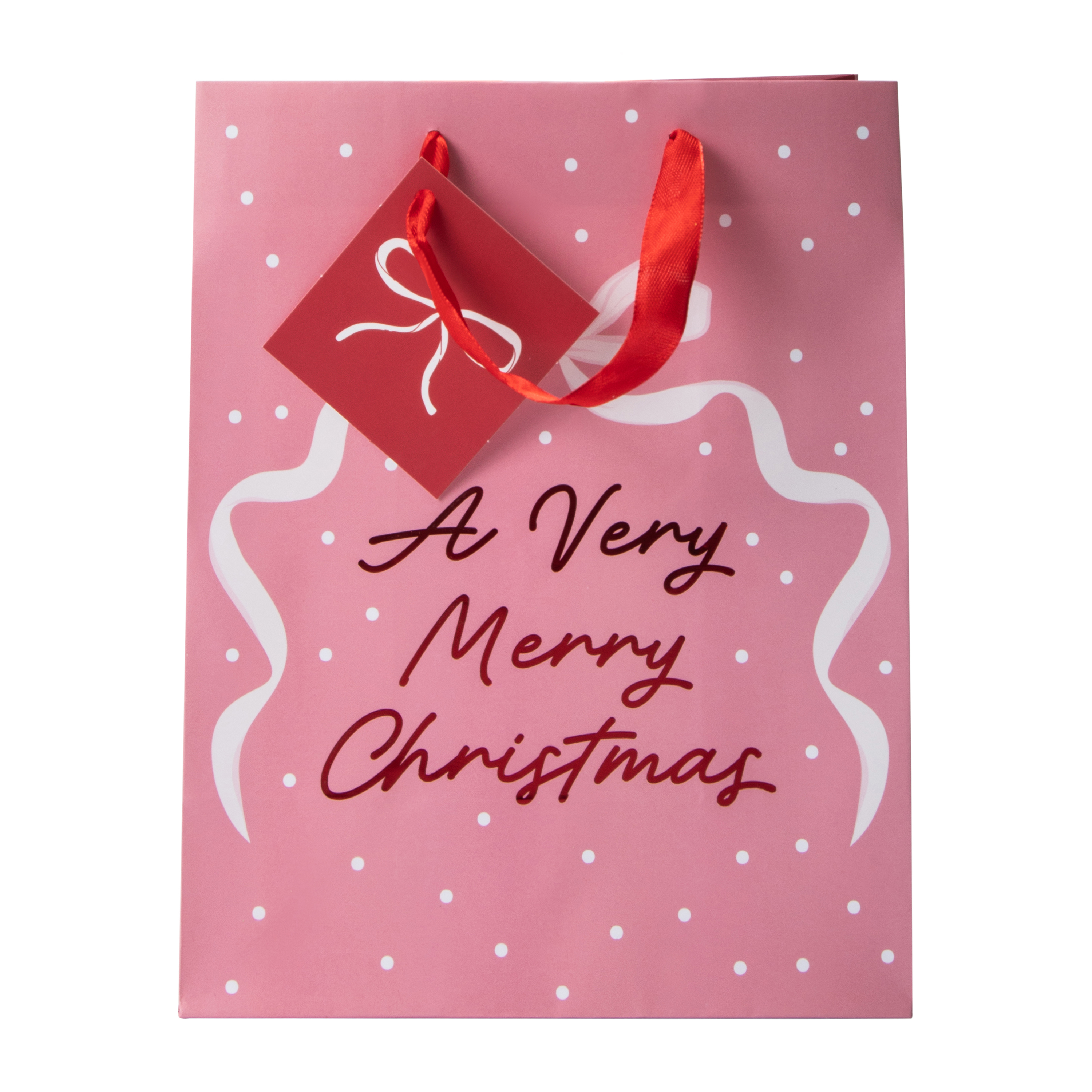 Merry Christmas Gift Bag