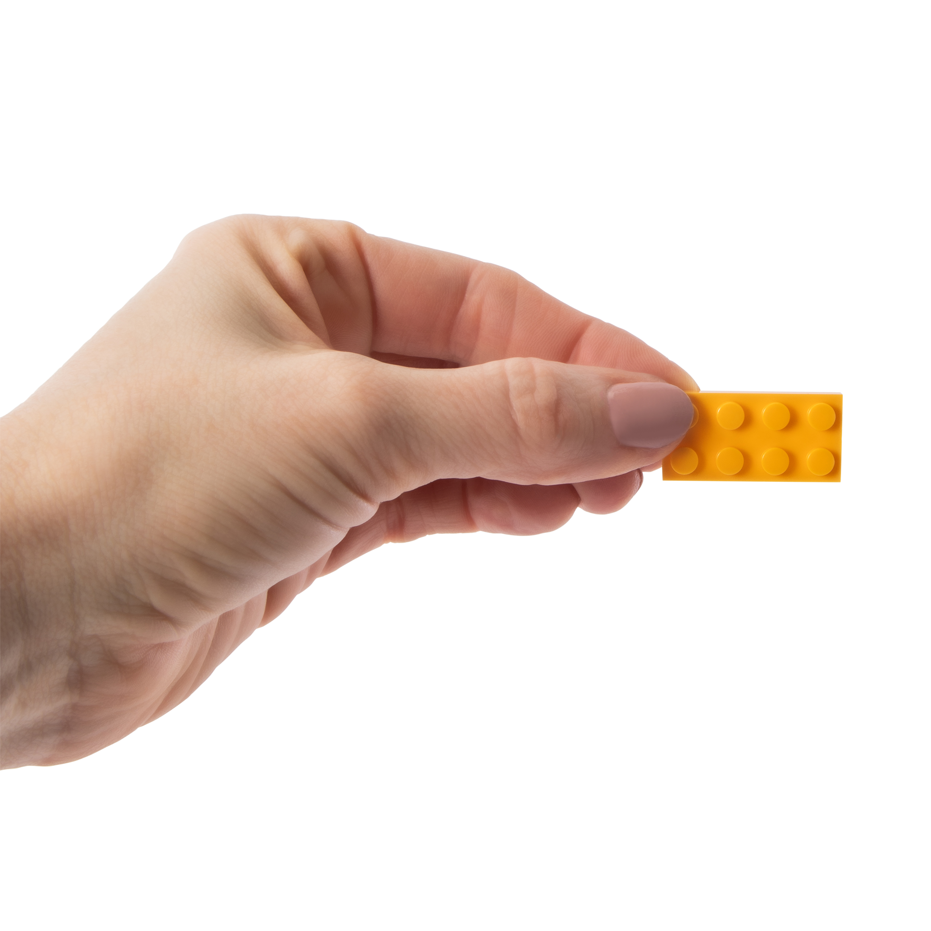 Beavis And Butt-Head™ Build Set