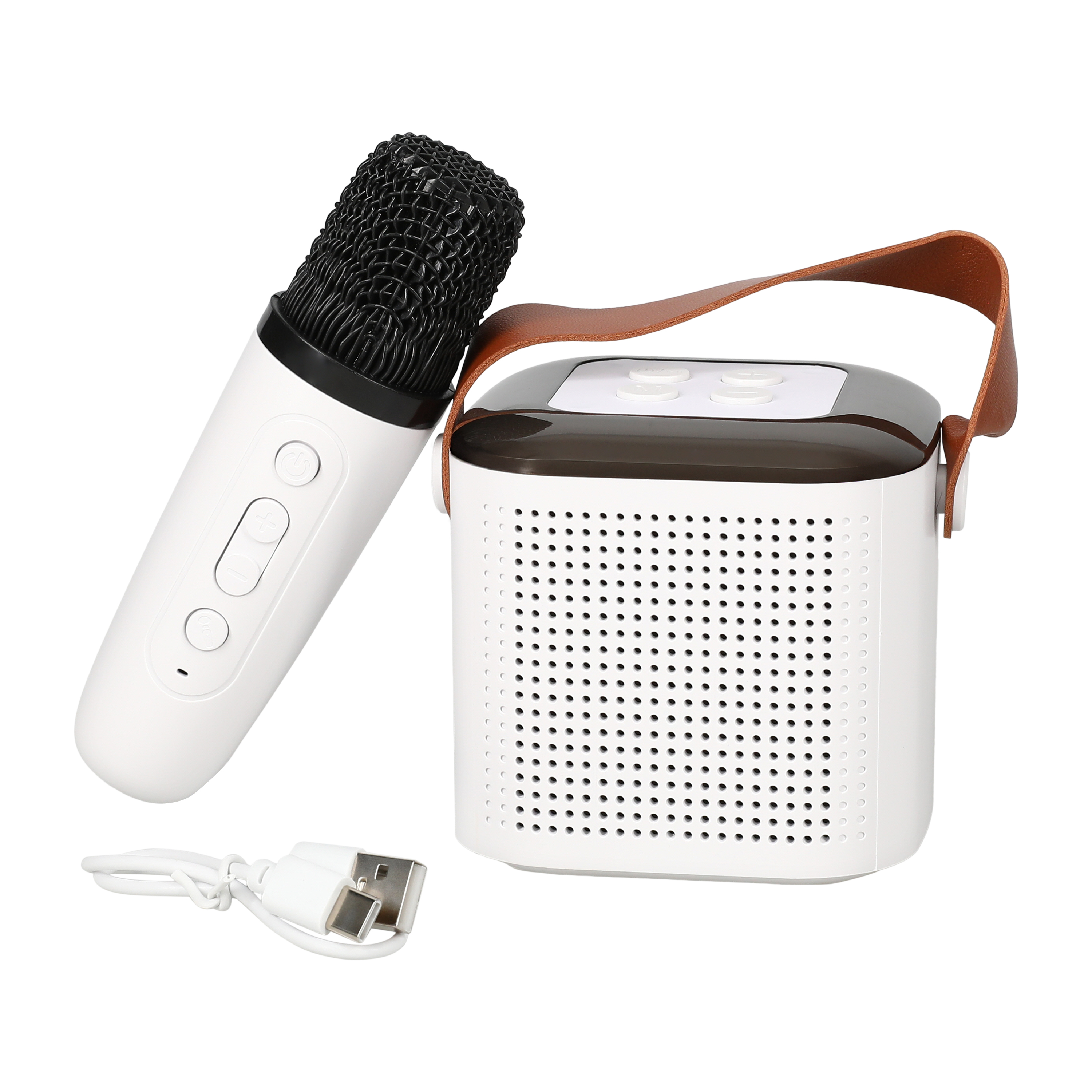 Sing Along LED Speaker & Microphone Set