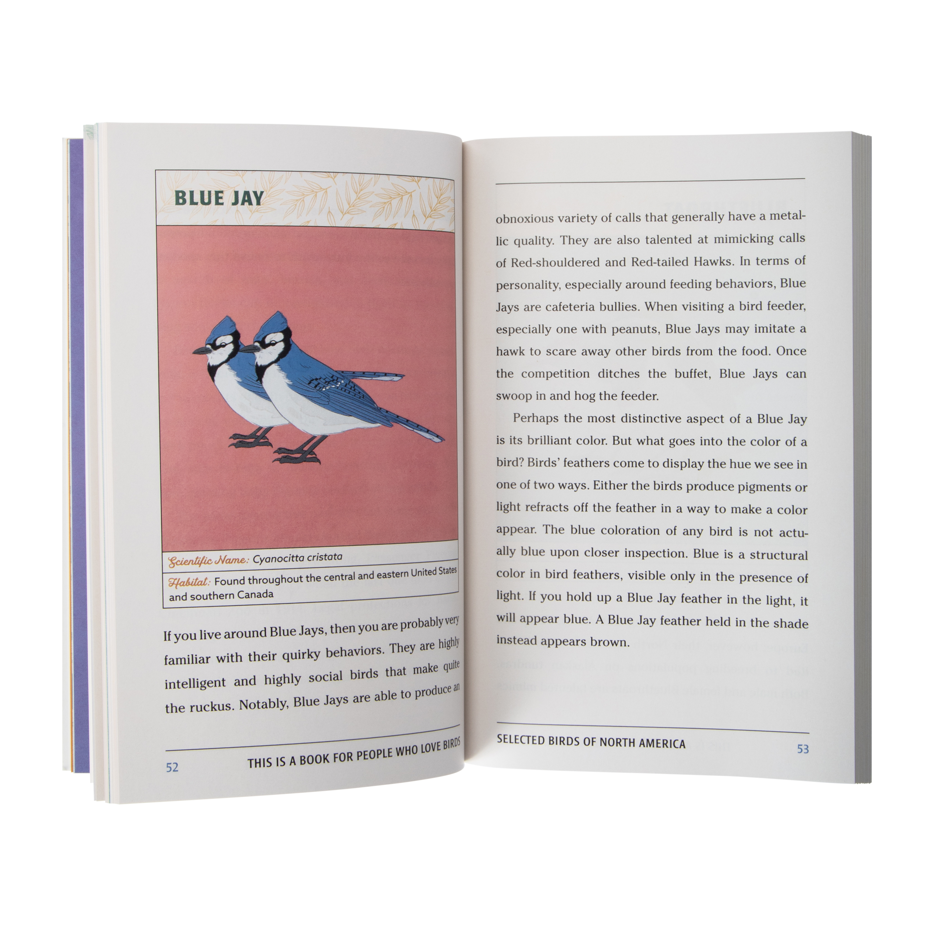 This Is A Book For People Who Love Birds