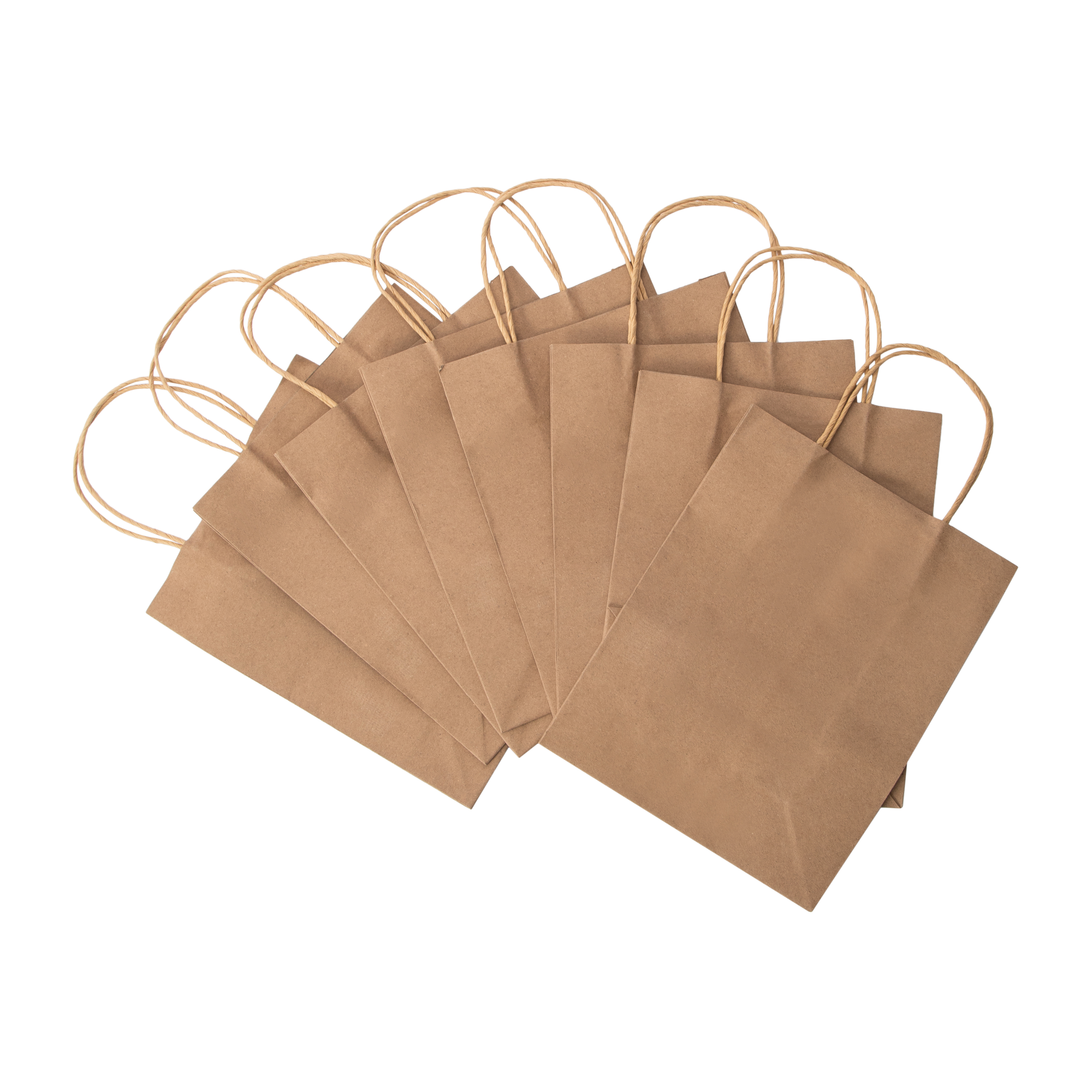 Kraft Gift Bags Pack
