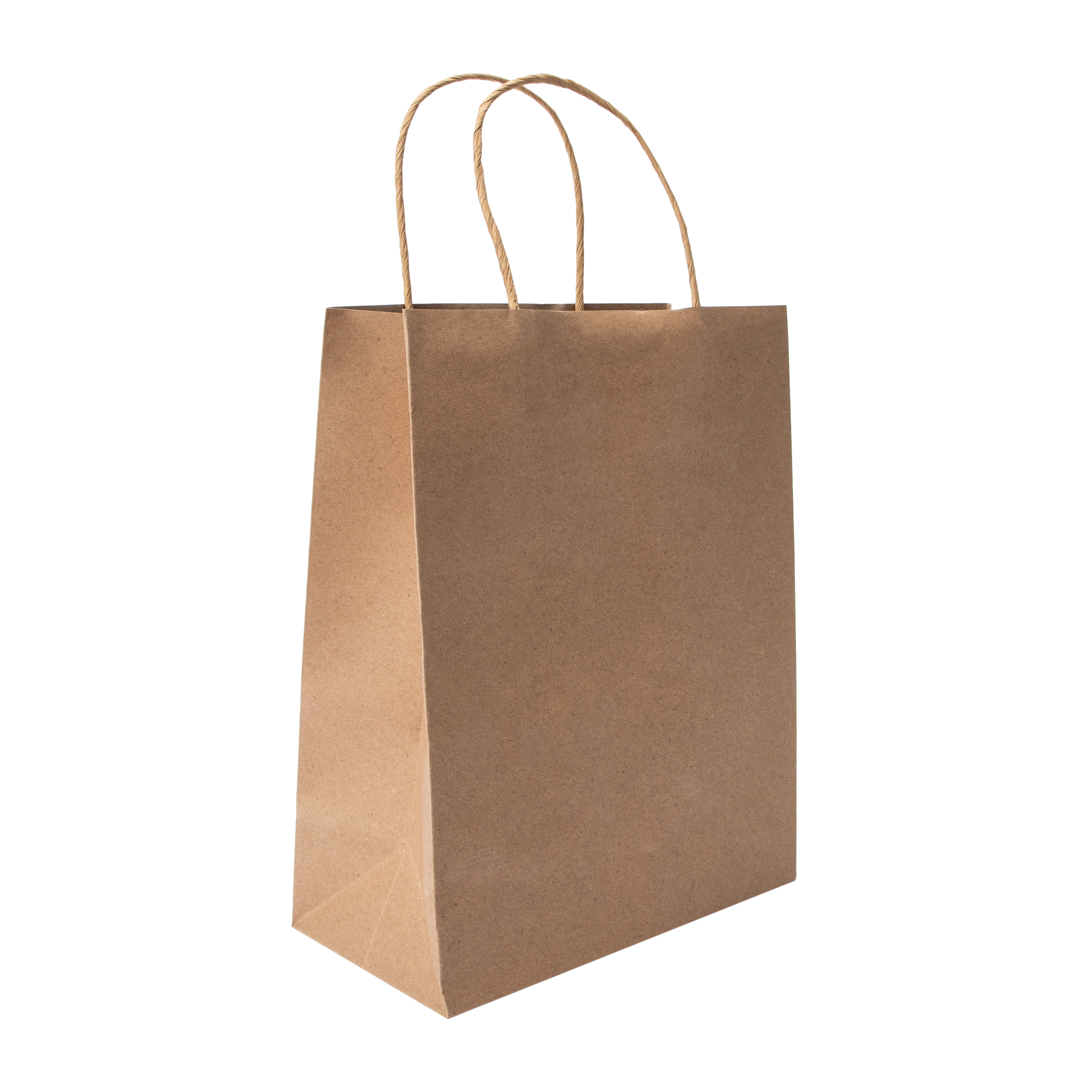 Kraft Gift Bags Pack