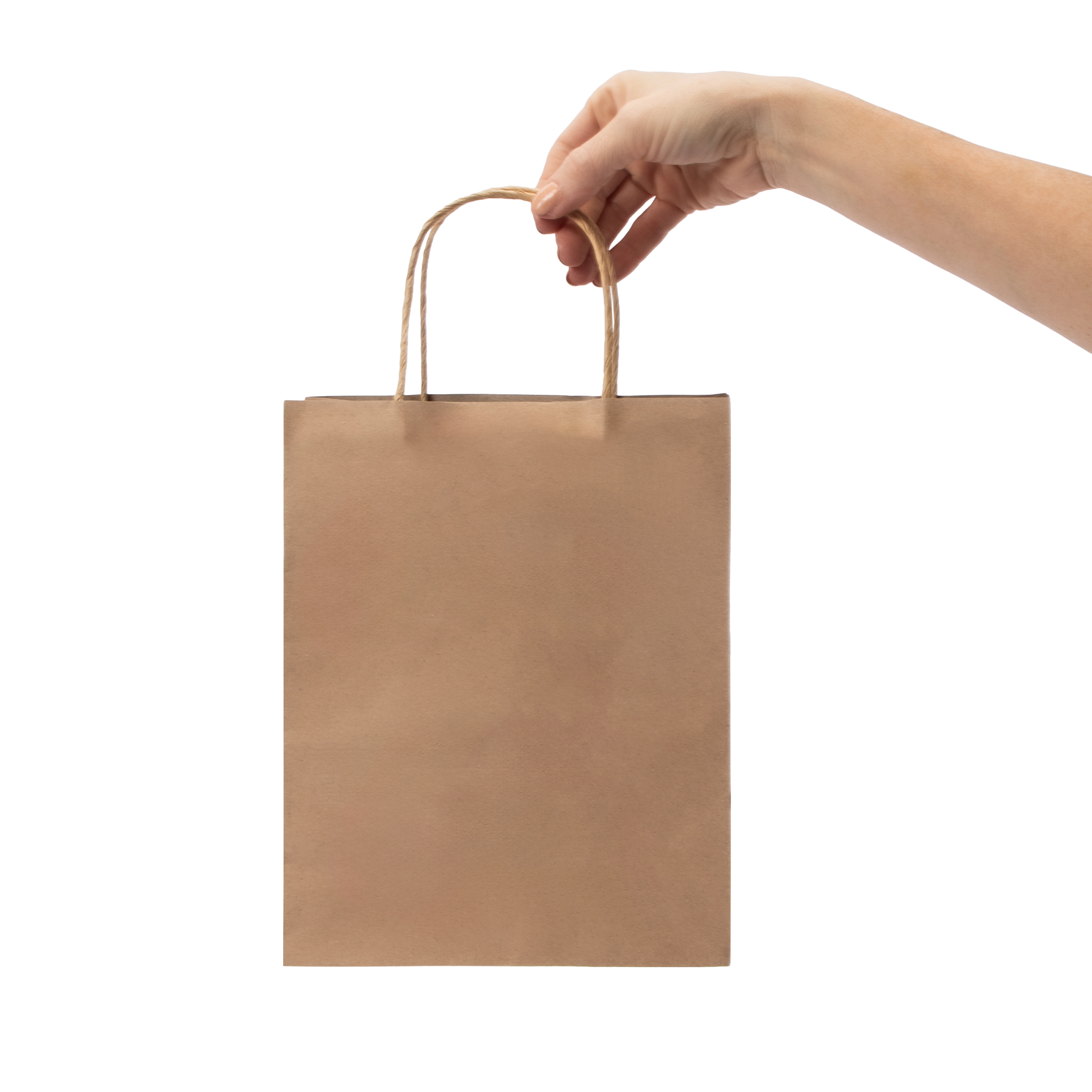 Kraft Gift Bags Pack