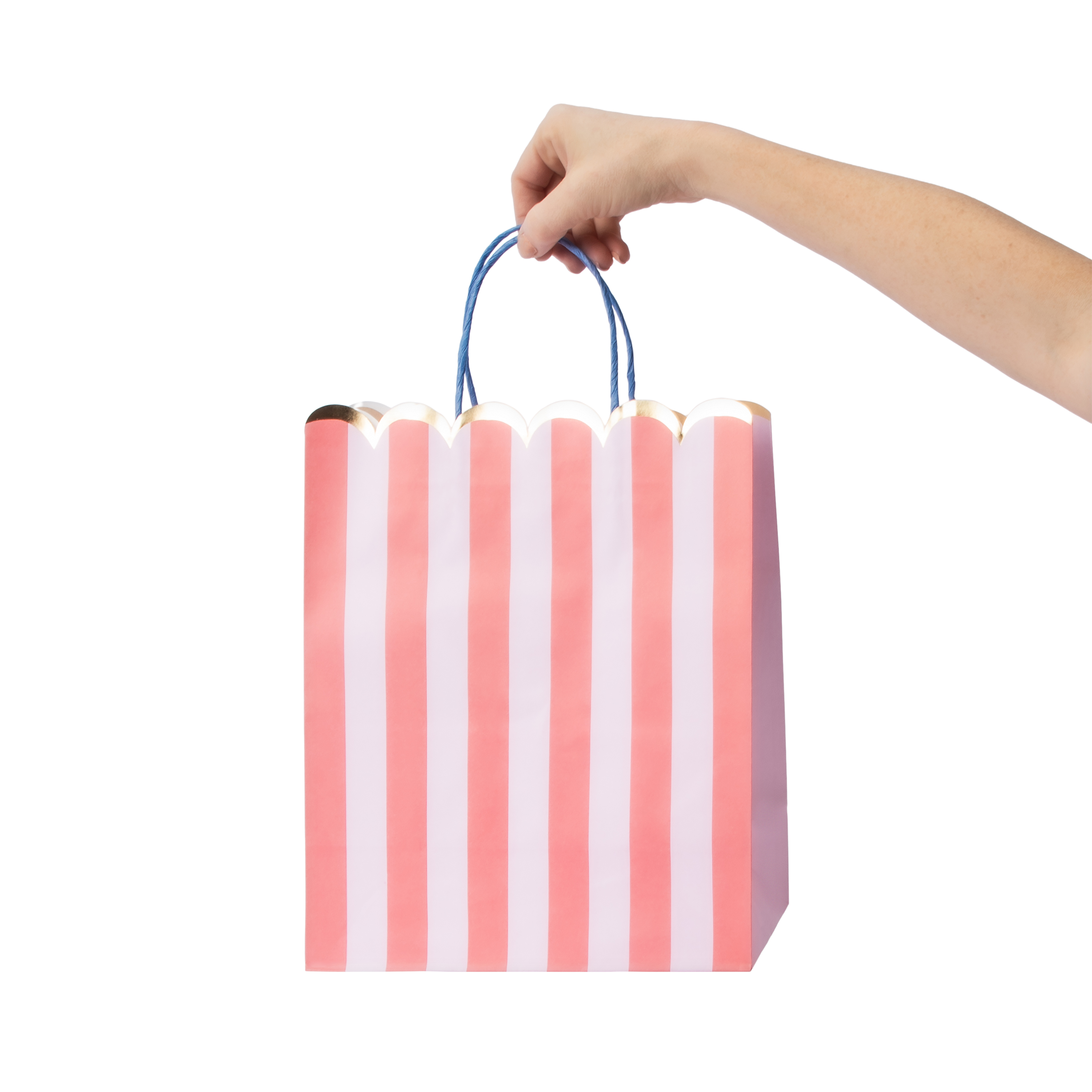 Kraft Large Gift Bags 5-Pack