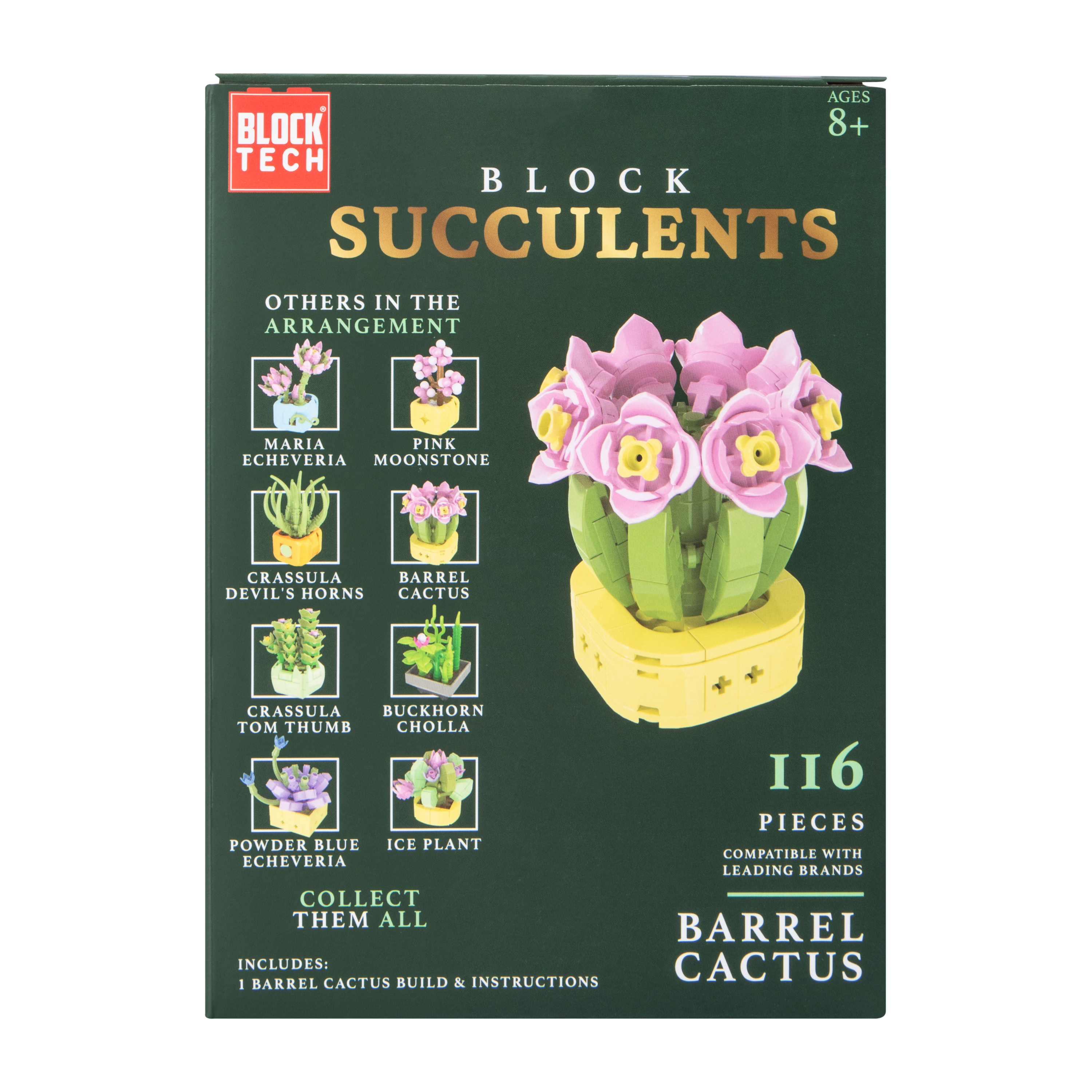 Block Tech® Succulents Set